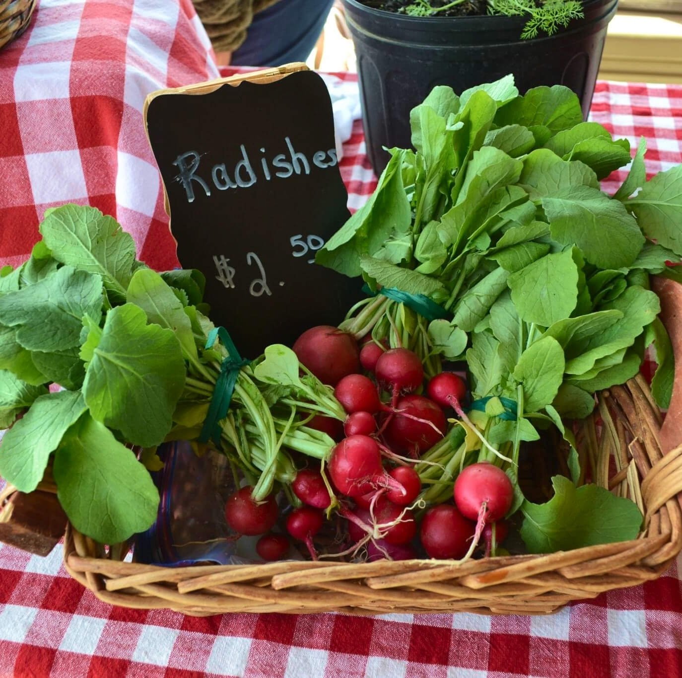 A basket of fresh radishes with green tops, priced at $2.50, on a red and white checkered tablecloth at a market.