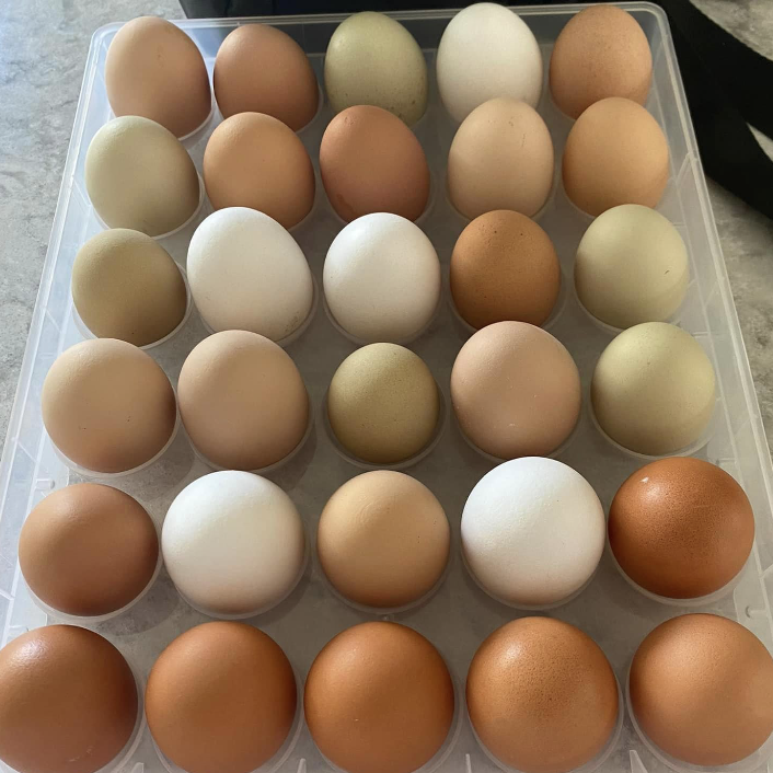 Eggs