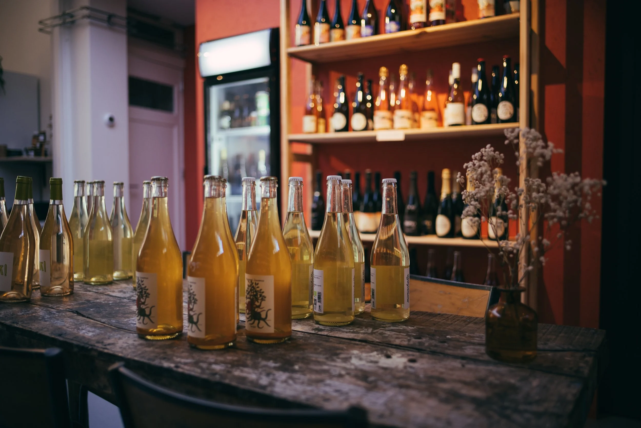 250919 Vin Noord 2-NZF_9792.jpg