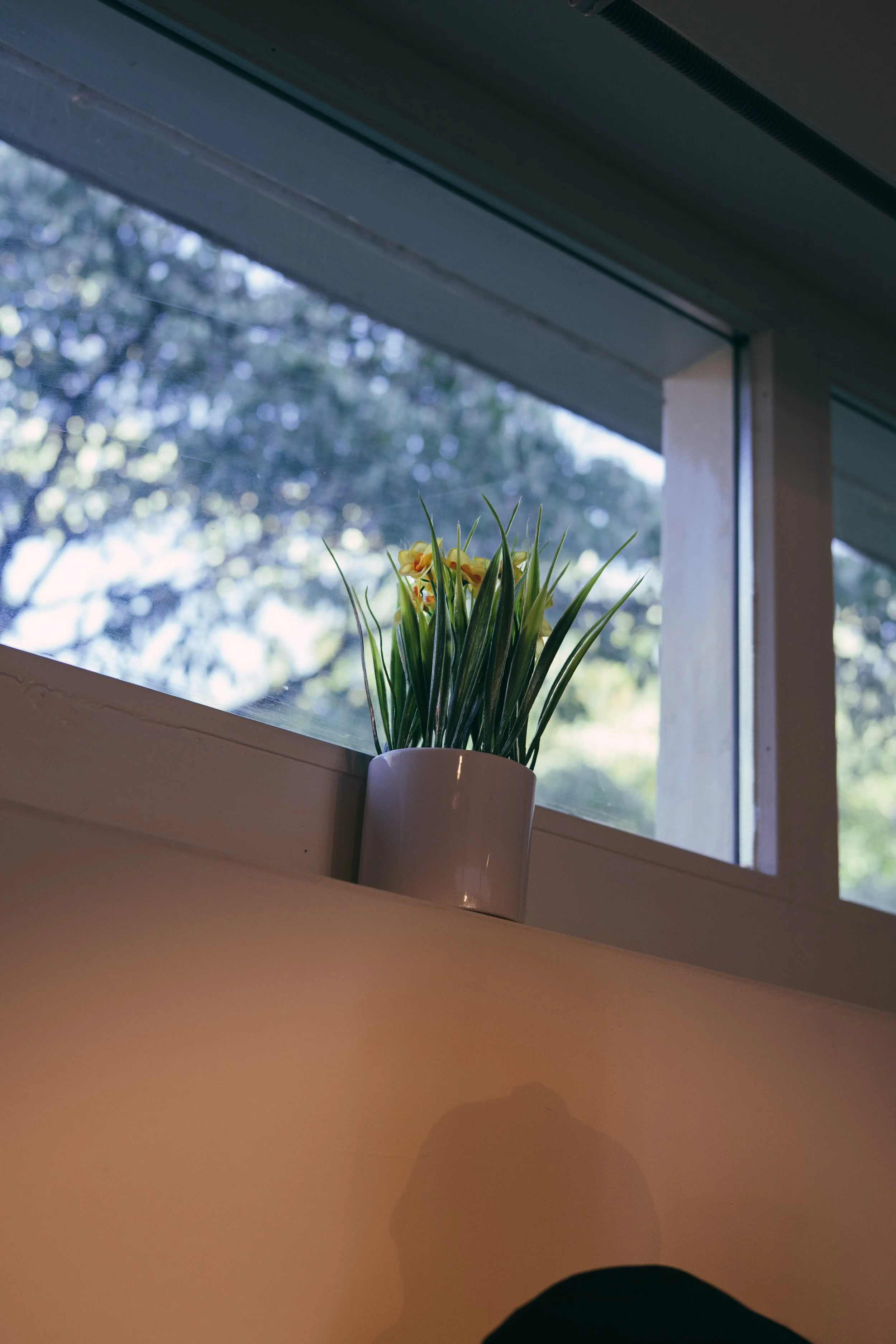 250919 Vin Noord 31-NZF_9914.jpg