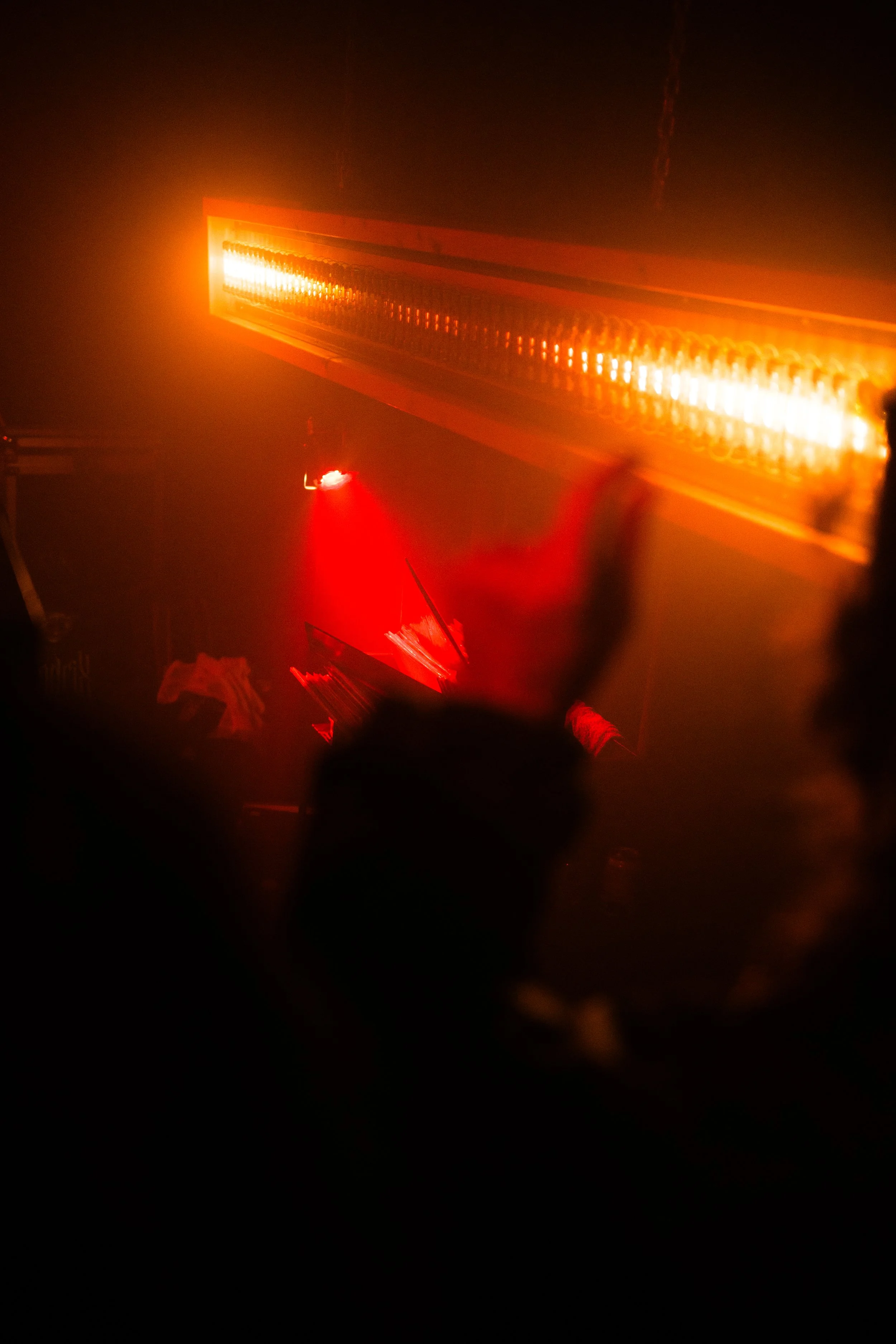 NZF_0206.jpg