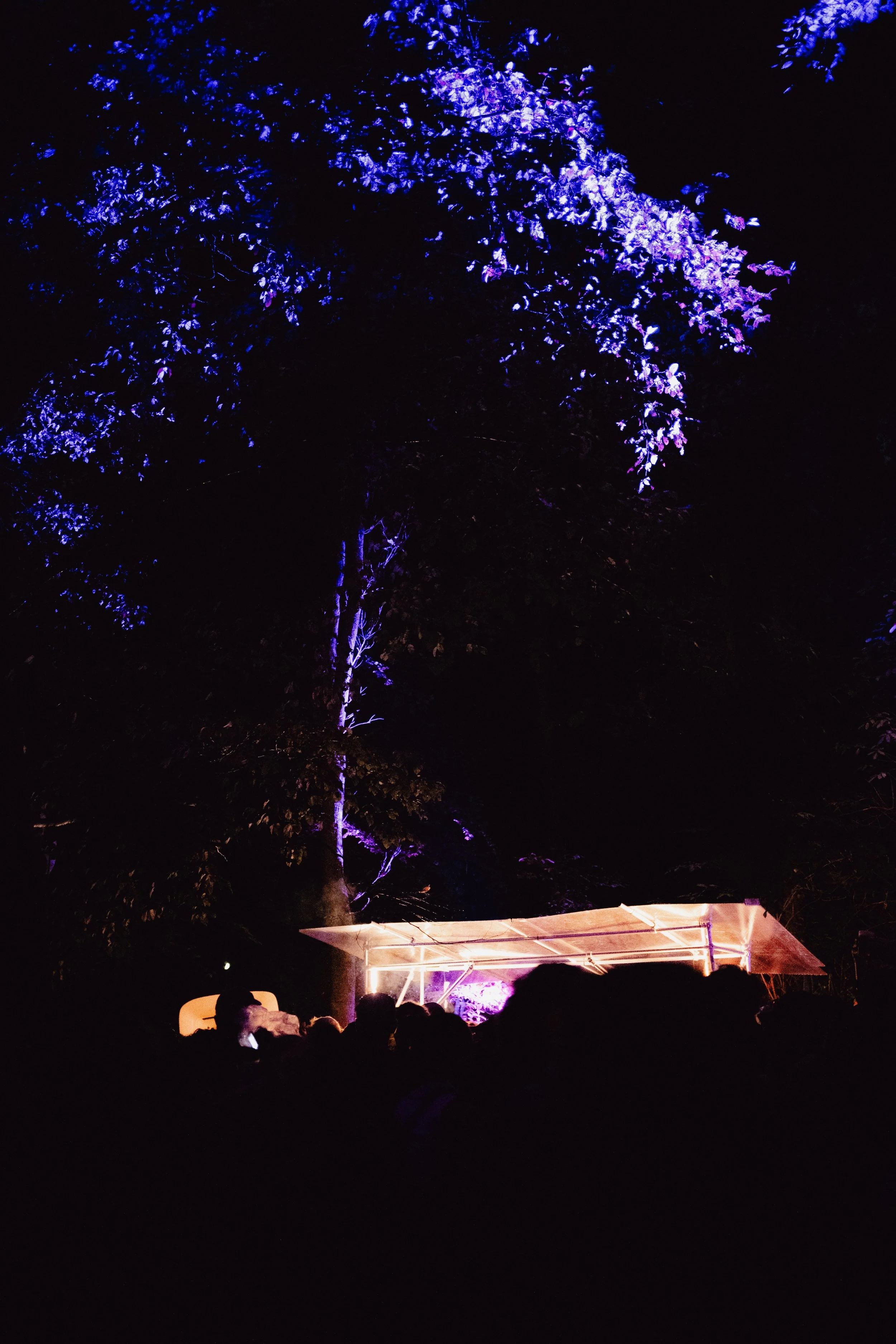 NZF_5680.jpg