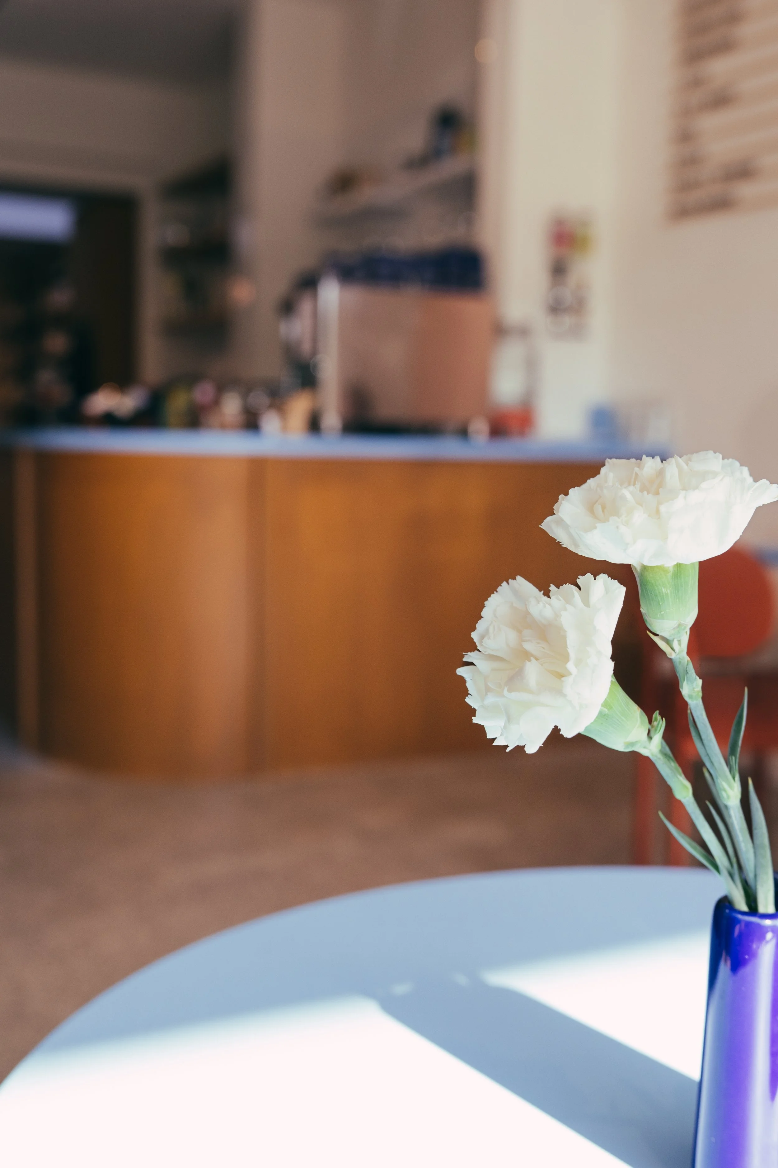 250919 Vin Noord 19-NZF_9861.jpg