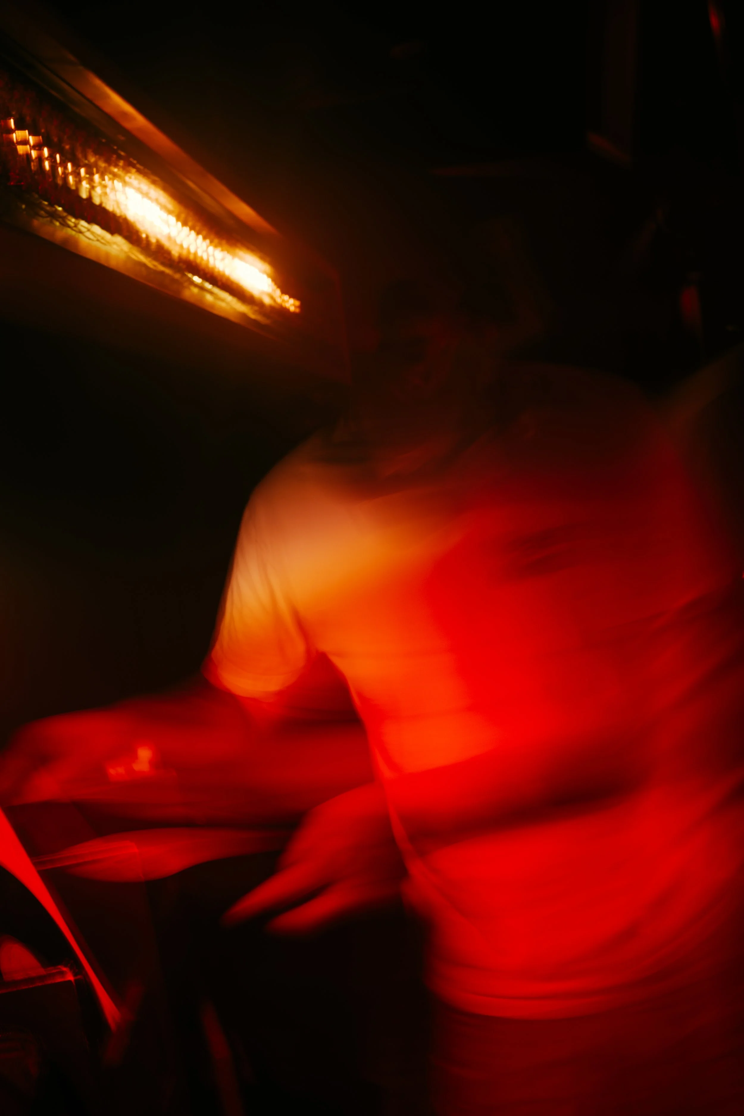 NZF_5836.jpg