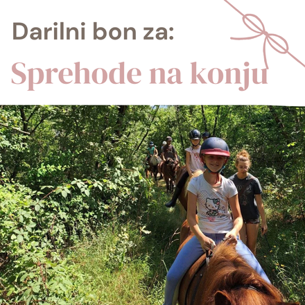 Gift card for children’s pony ride