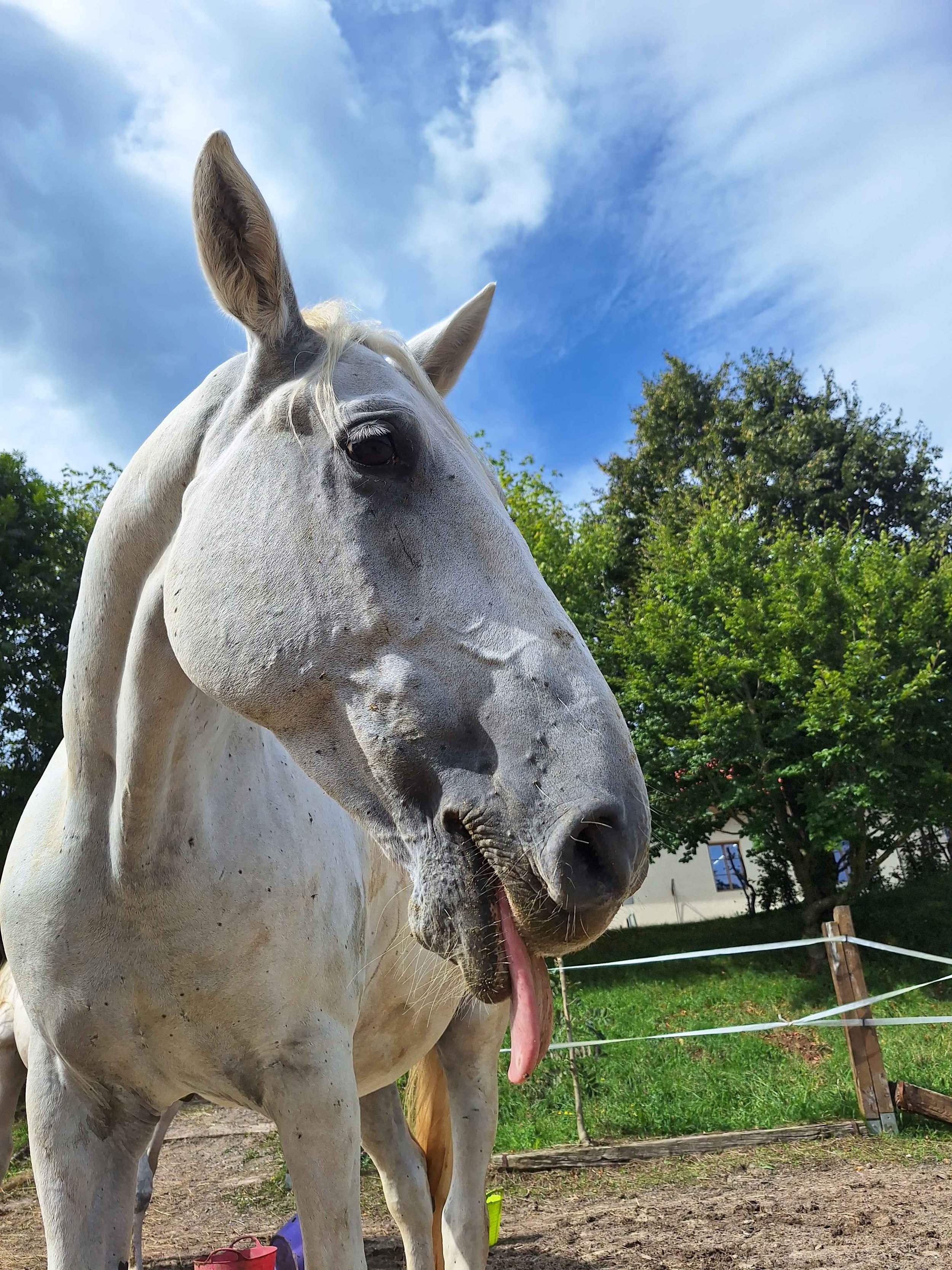 Fifth summer camp ☀ 