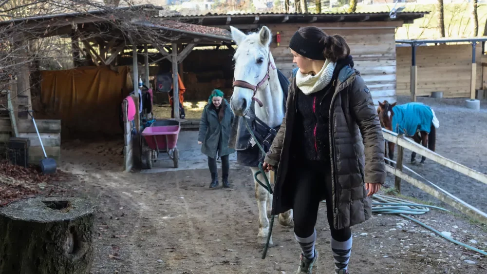 Kraj, kjer konji berejo tisto, kar ljudje skrivamo globoko v sebi