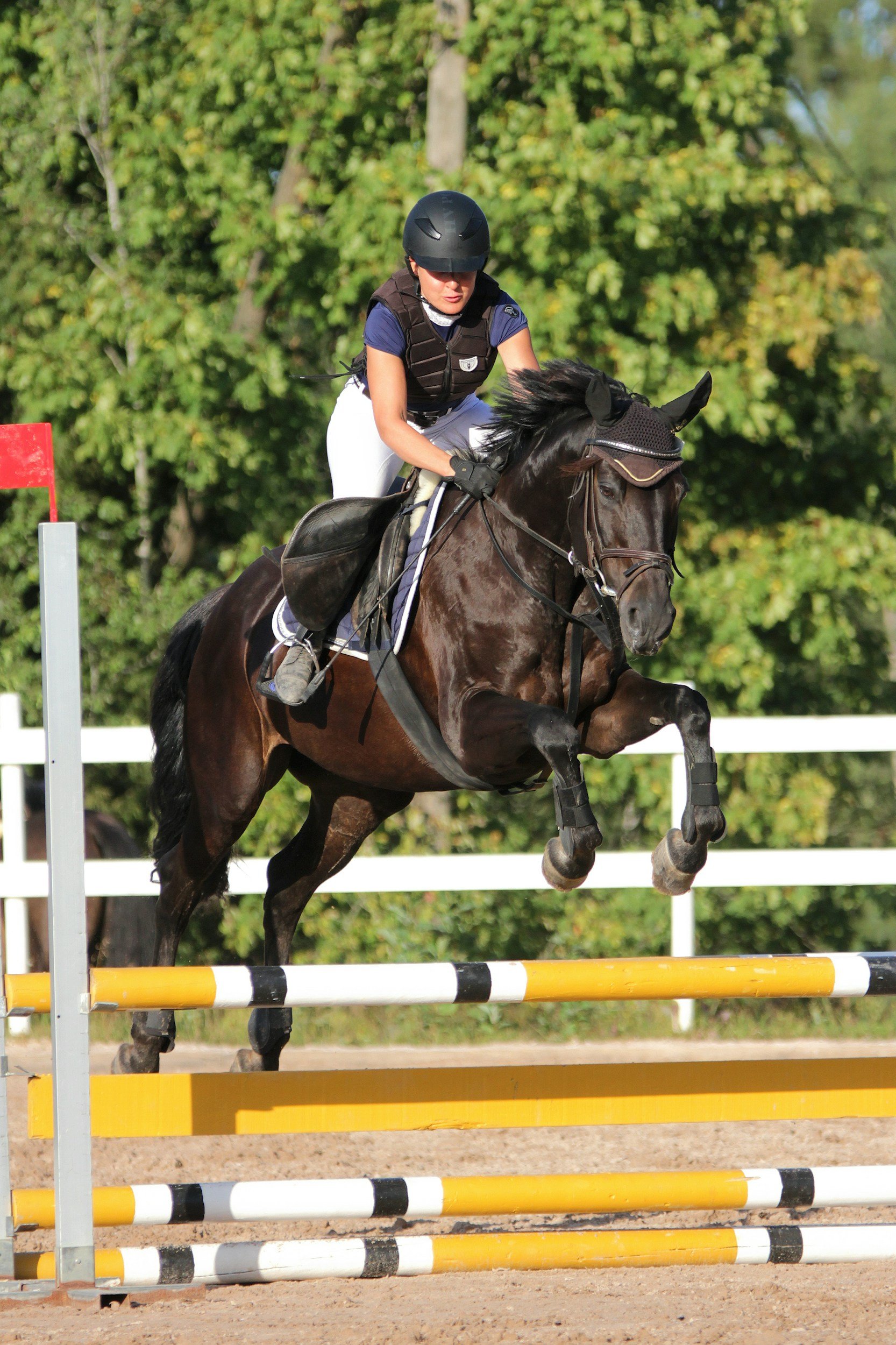 Club show jumping tournament + jahač exams