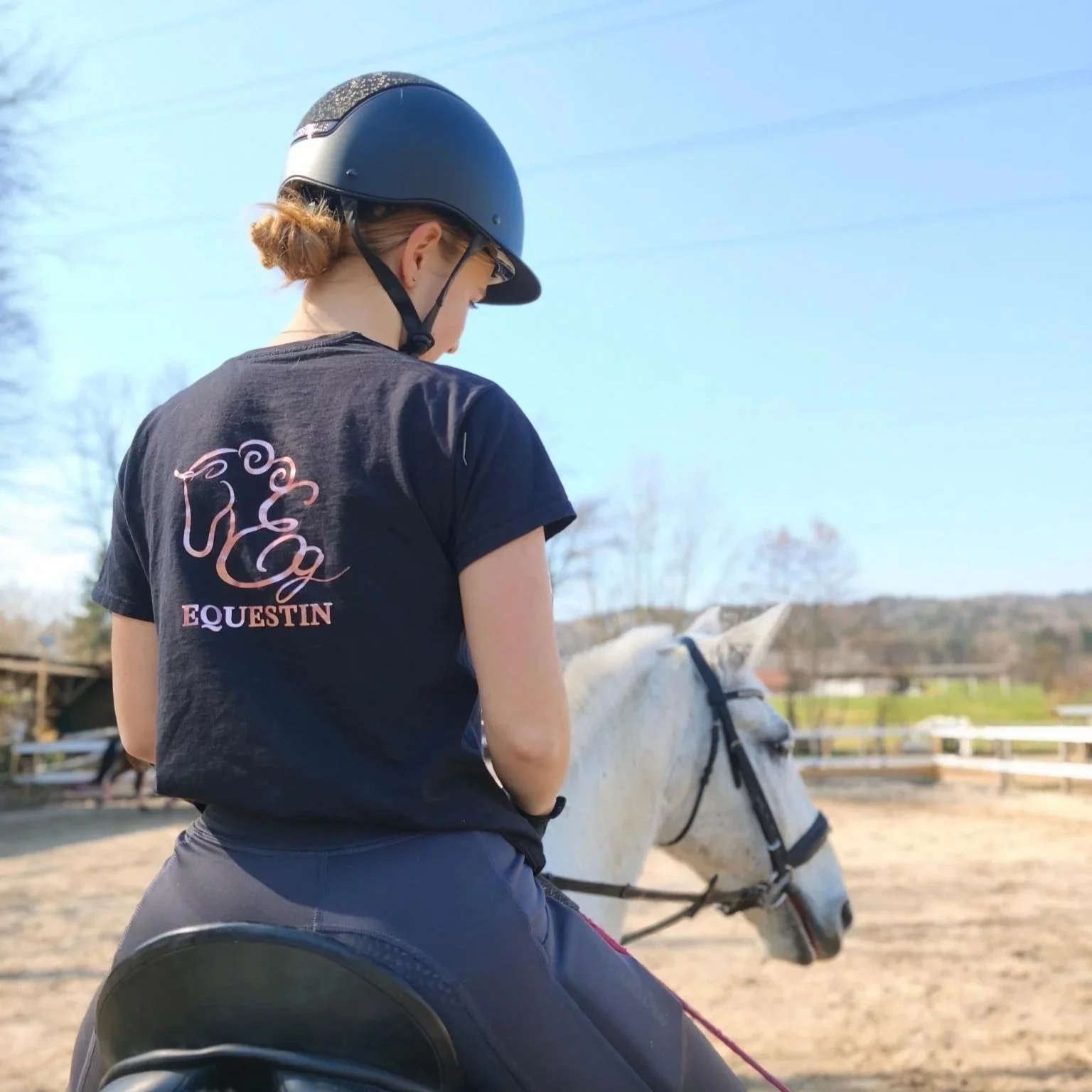 Dressage rider
