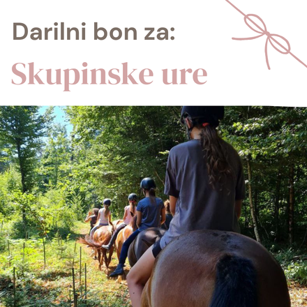 Darilni bon - skupinske ure.png