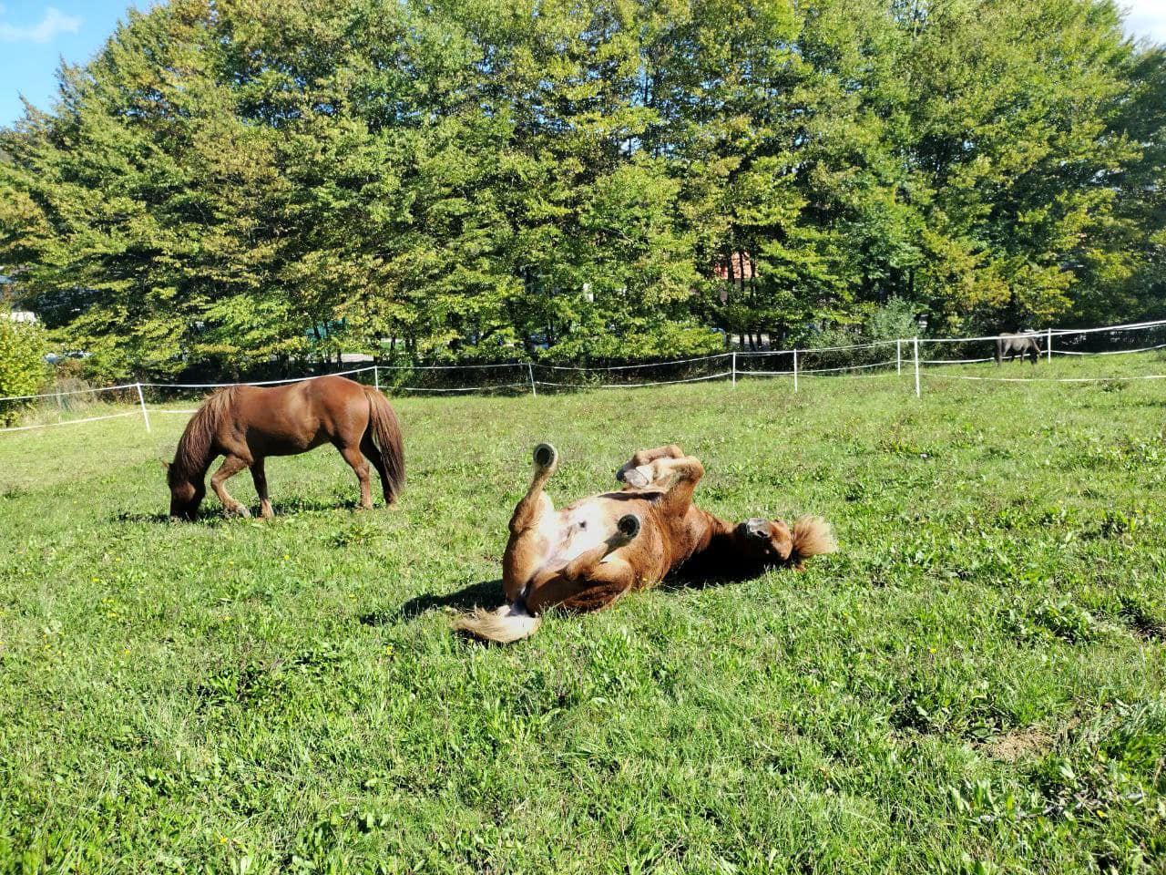 Third summer camp ☀