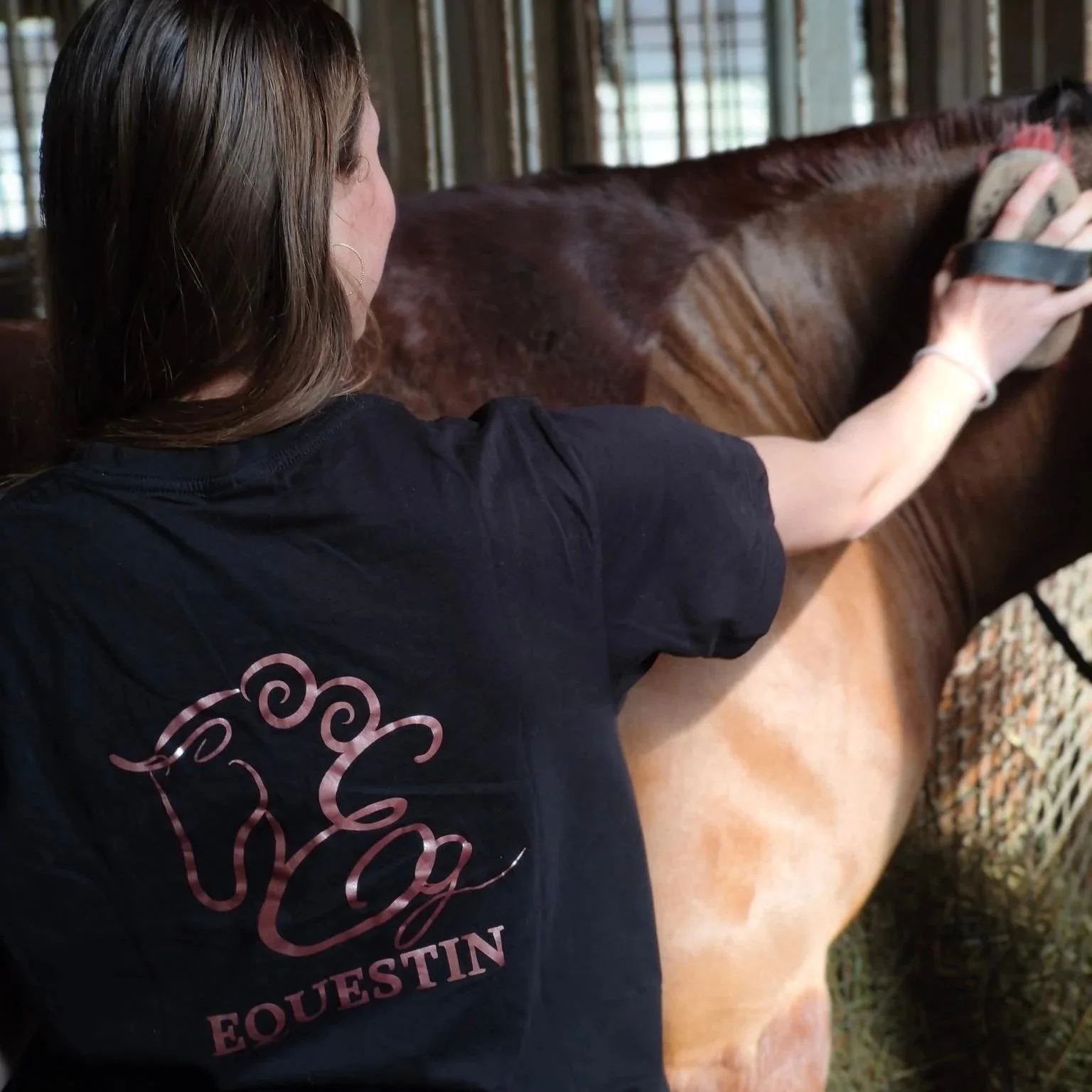 Girl brushing a horse