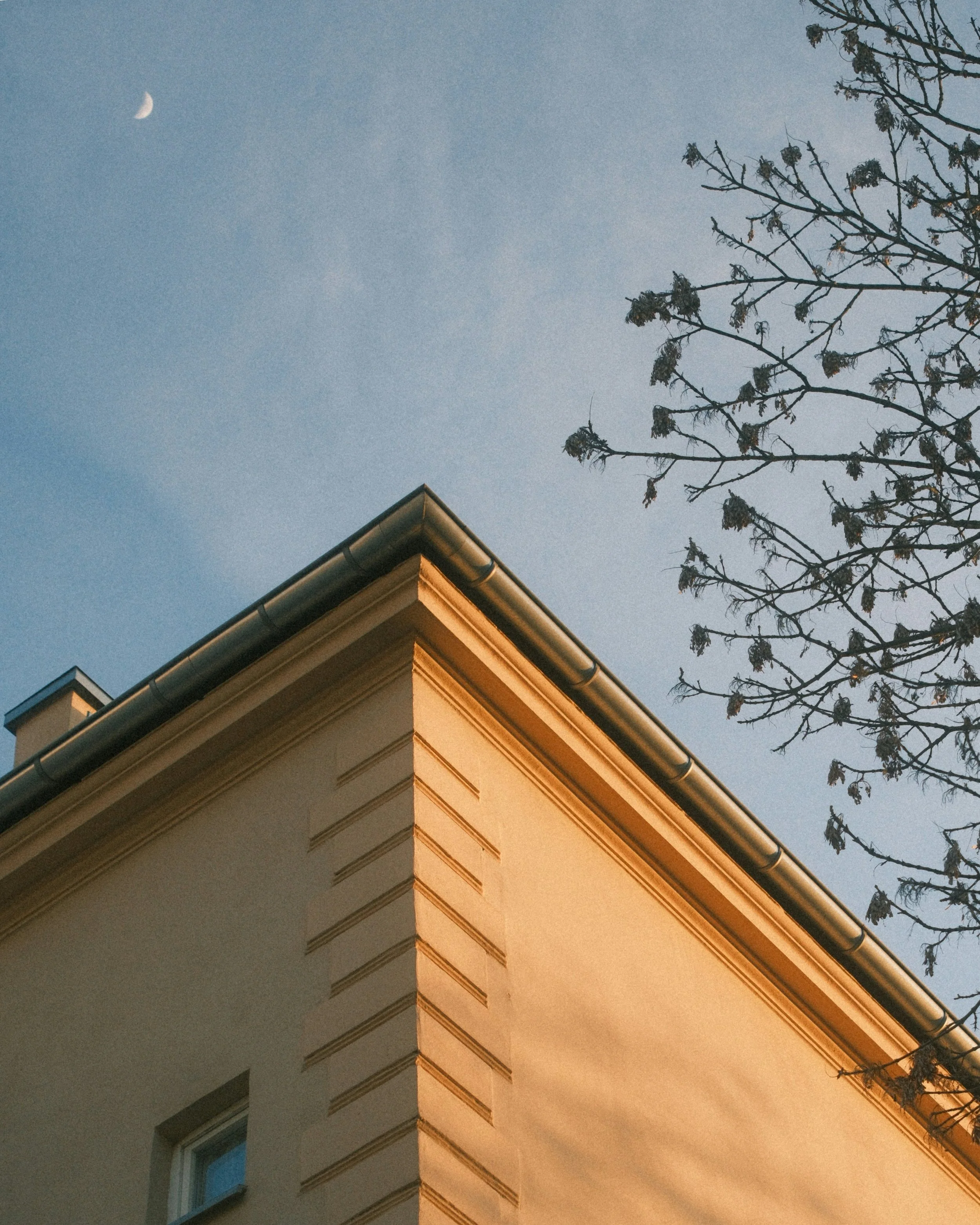Close-up view of the corner of a building with a sloped roof, under a clear evening sky with a crescent moon, and a tree with few leaves.