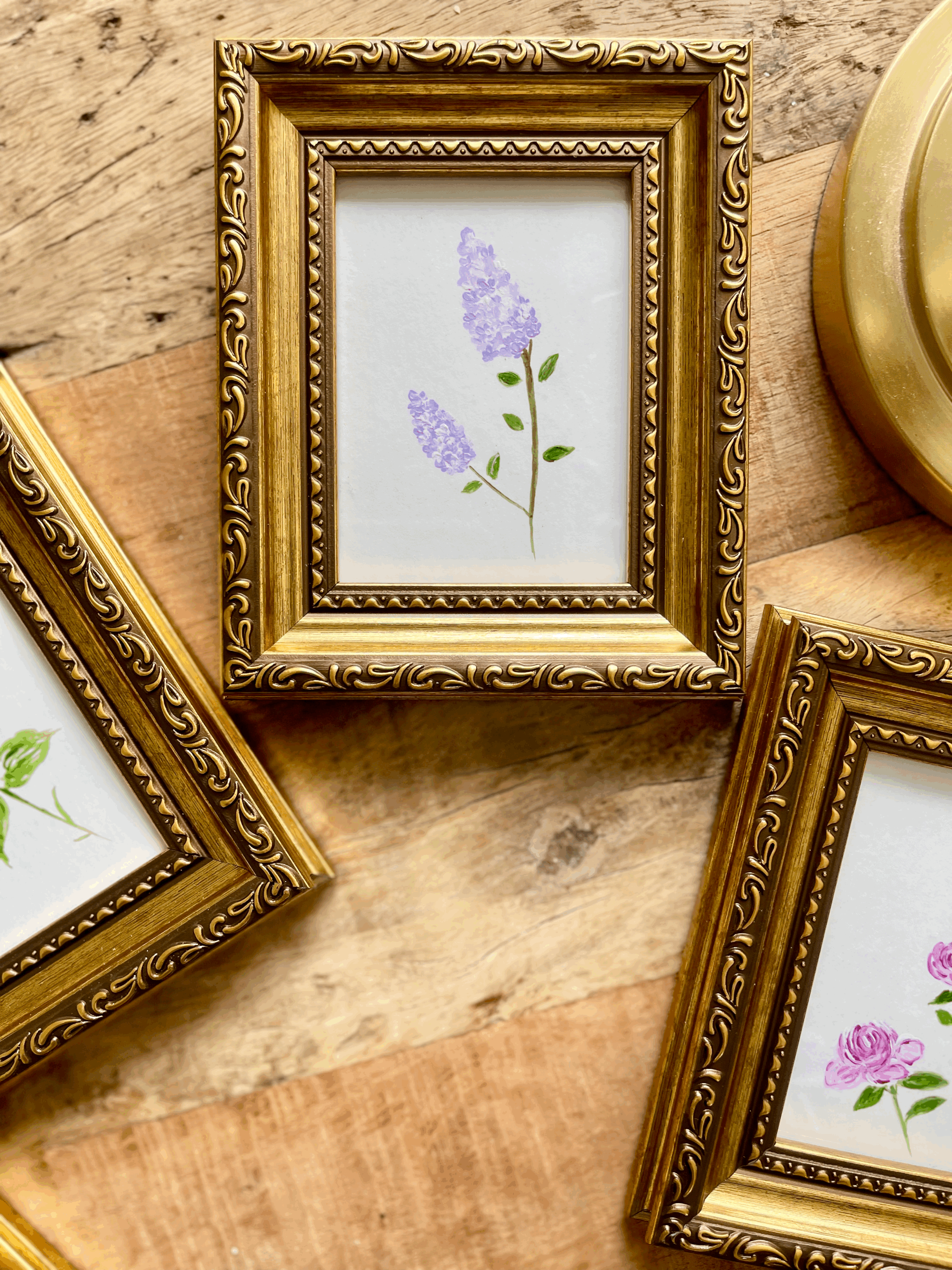 tempImagewQdN6X.gif (Copy)