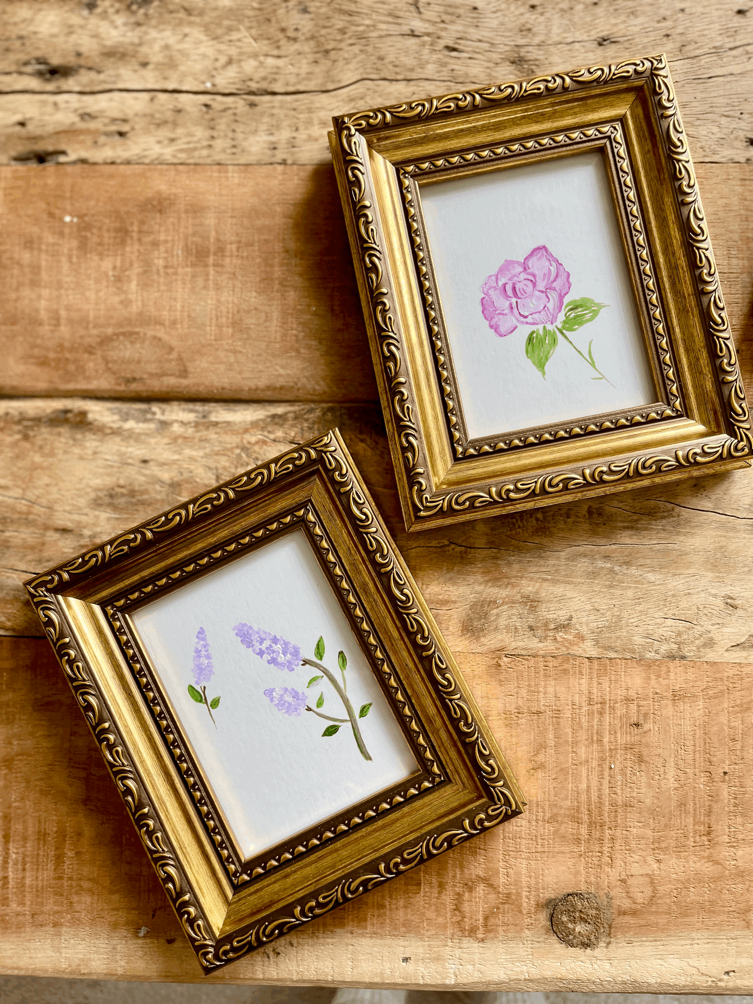 tempImageQQwDYs.gif (Copy) (Copy)