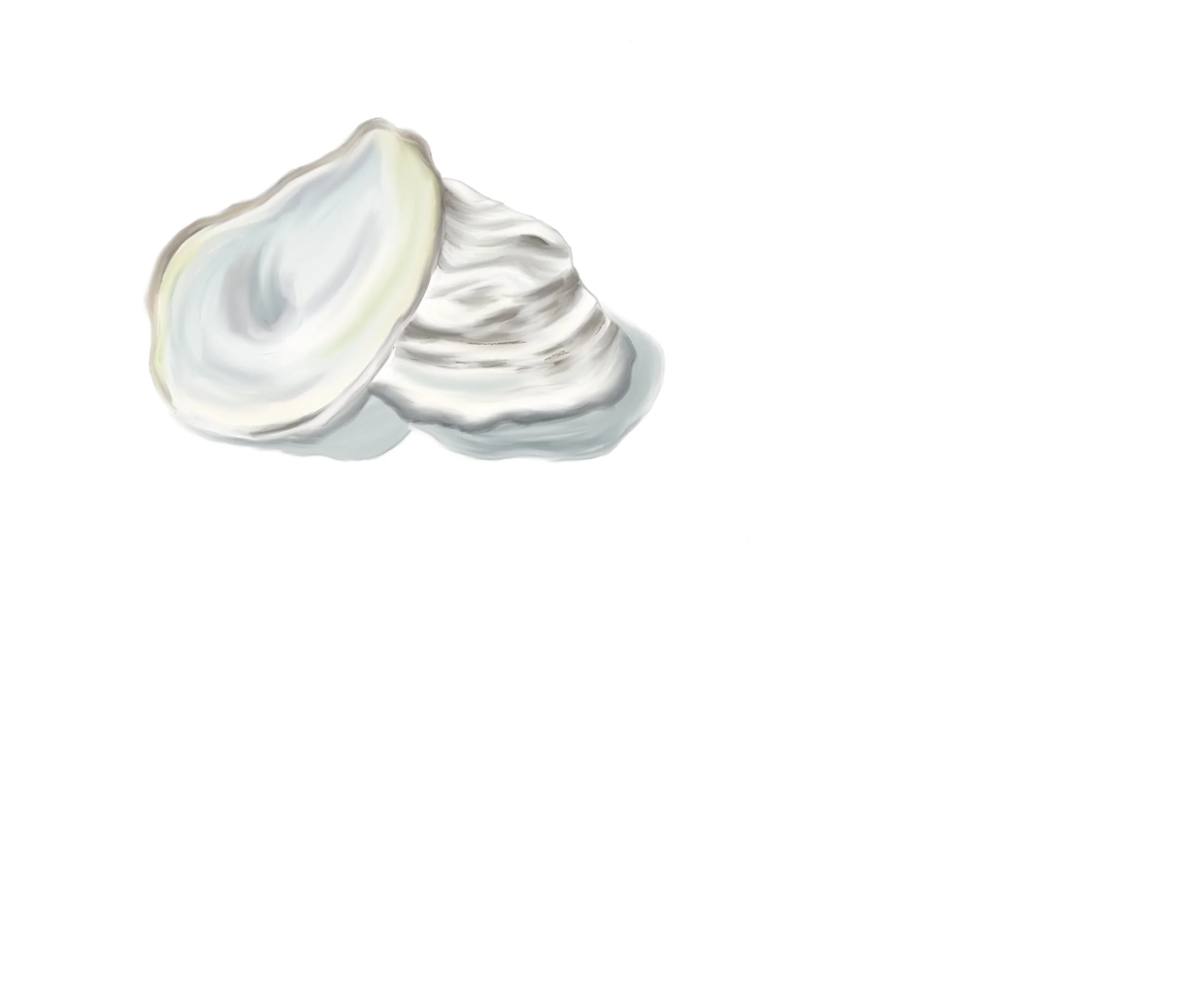 oyster.JPG
