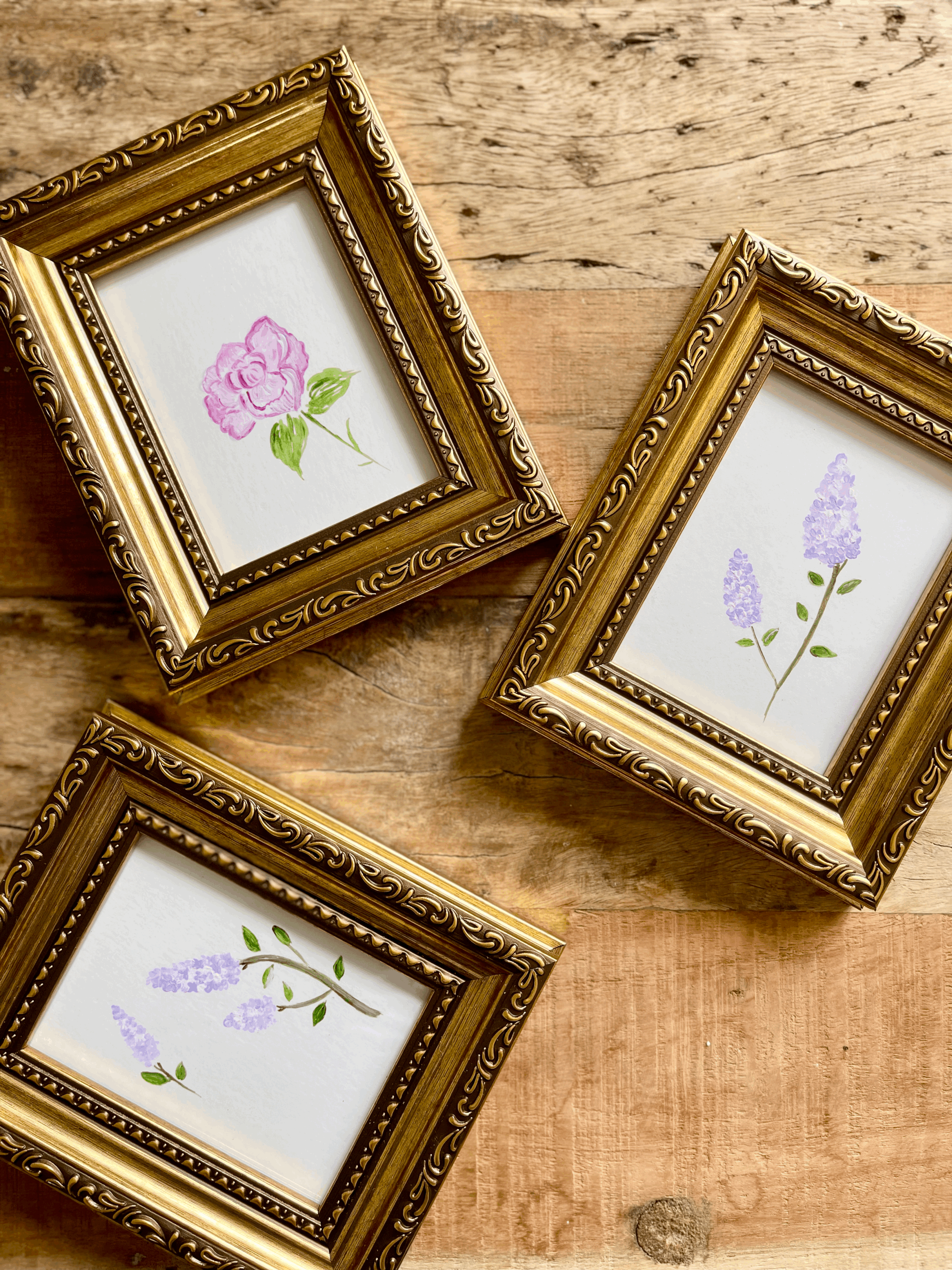 tempImage5i0AHb.gif (Copy)