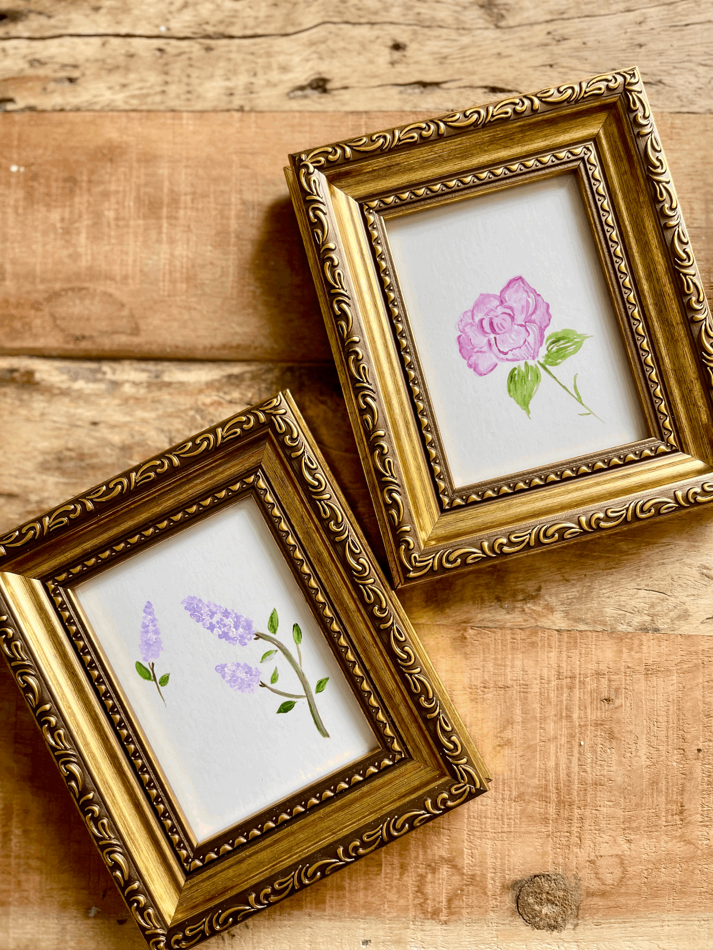 tempImageyFcP0H.gif (Copy)