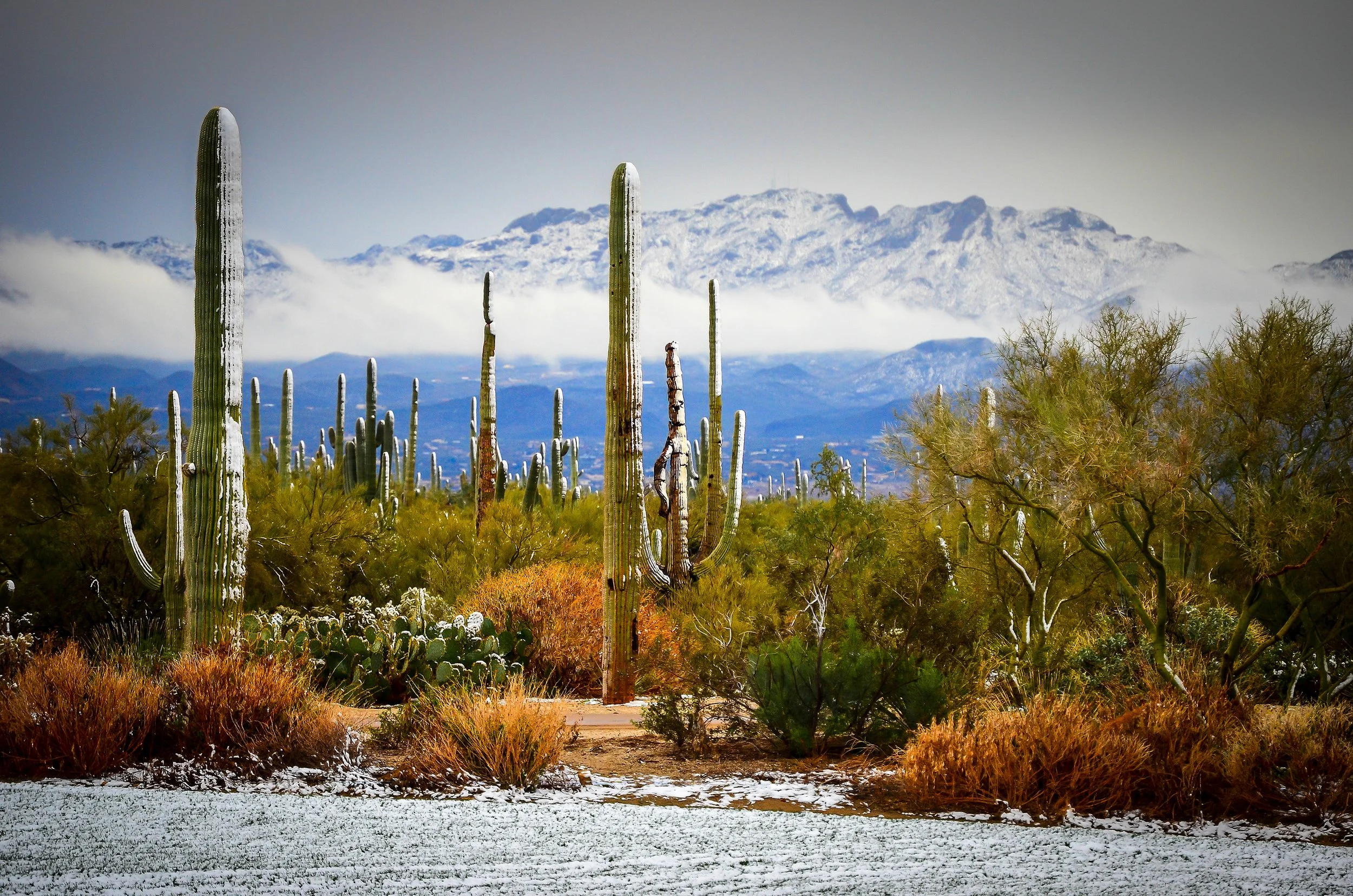 End Suffering on Fearfulness