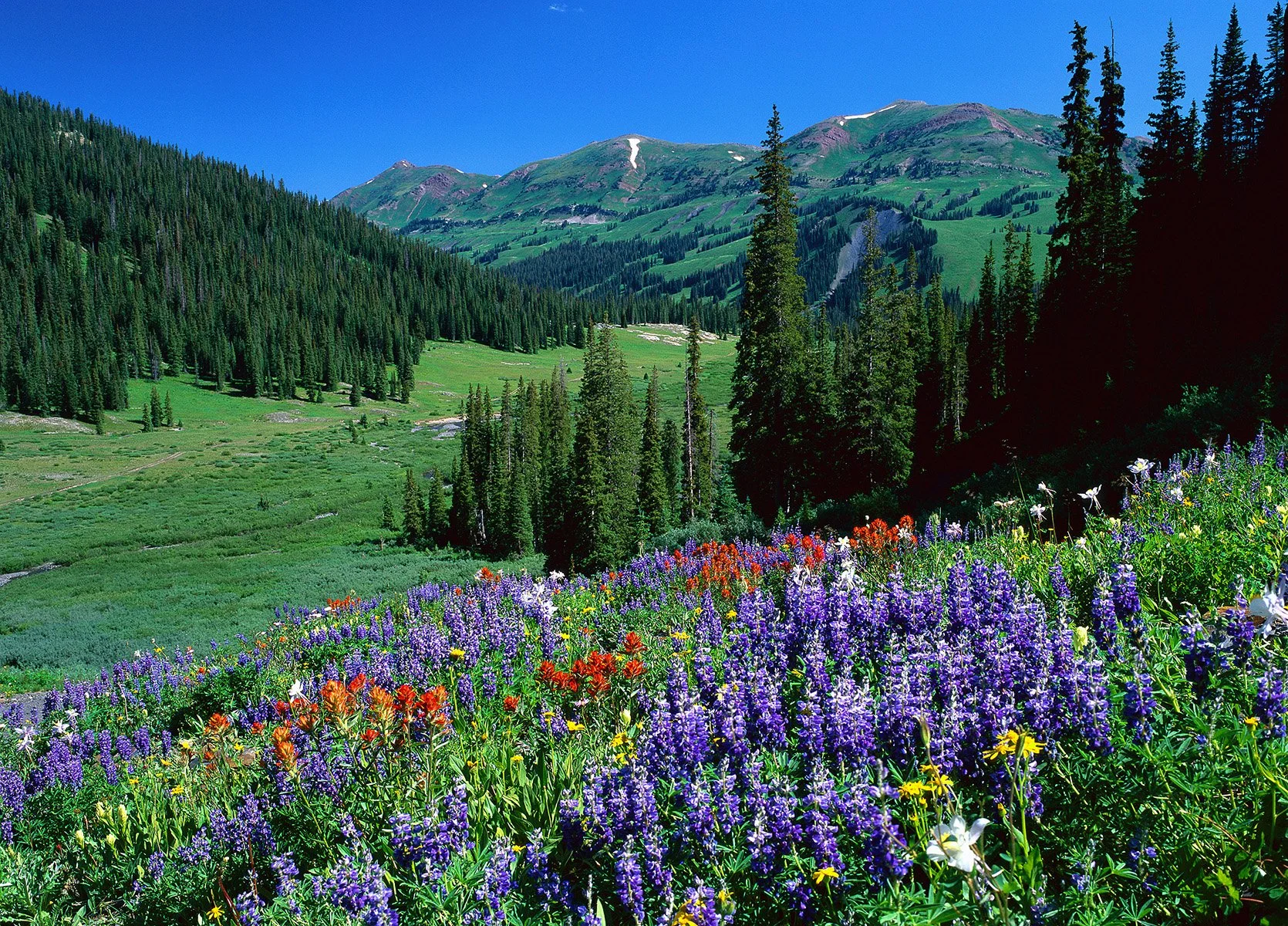 End Suffering on Sullenness