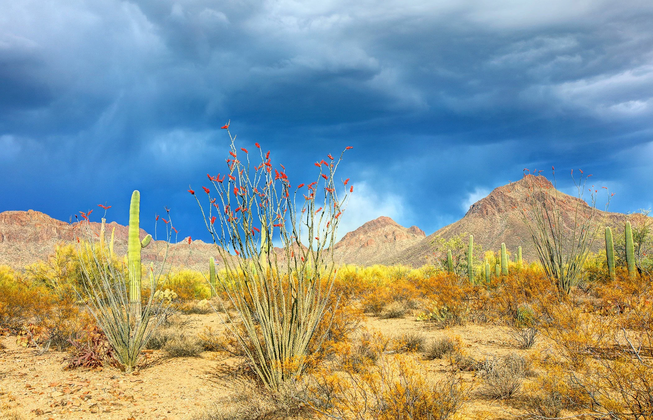 End Suffering on Touchiness