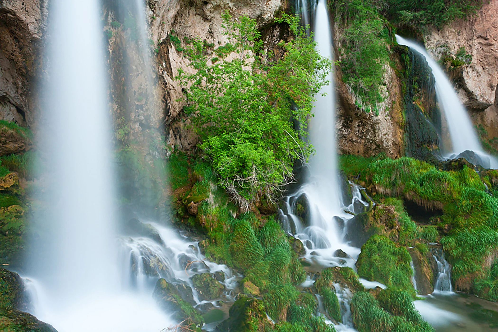 End Suffering on Fear