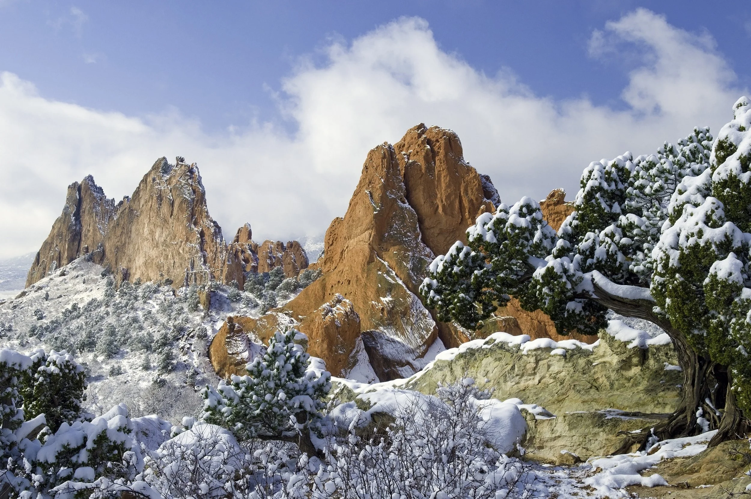 End Suffering on Jealousy