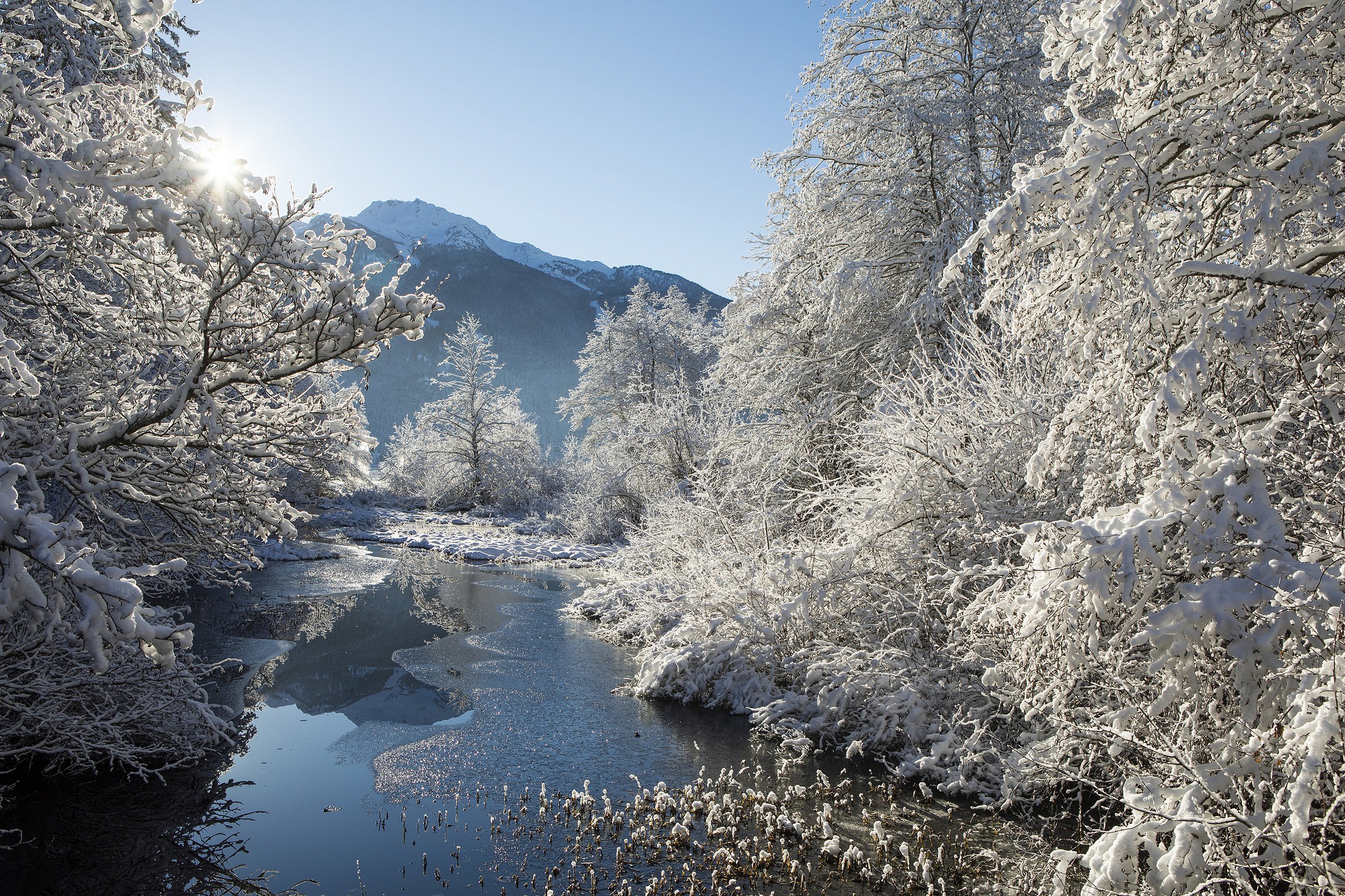 End Suffering on Regret