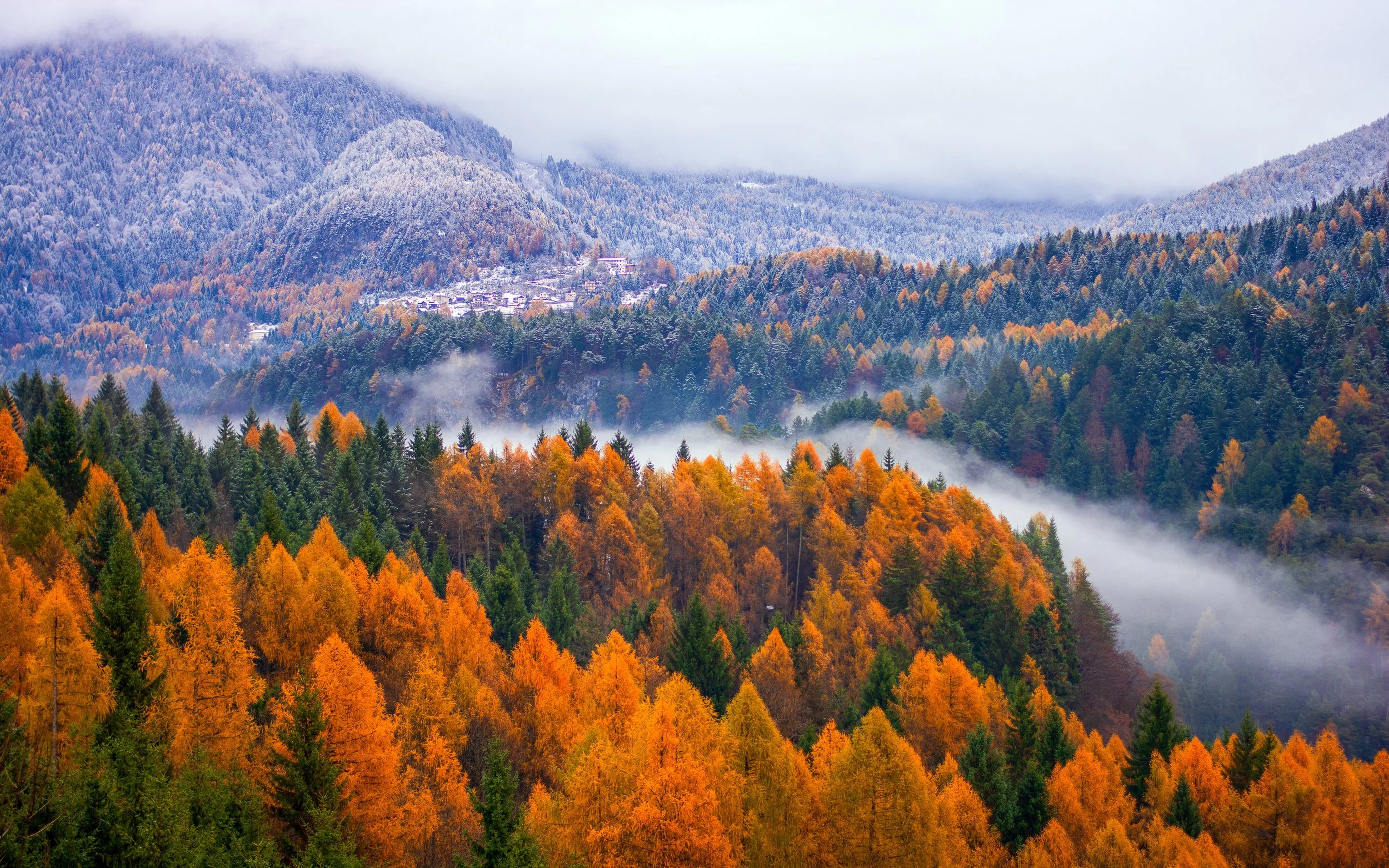 End Suffering on Disingenuousness