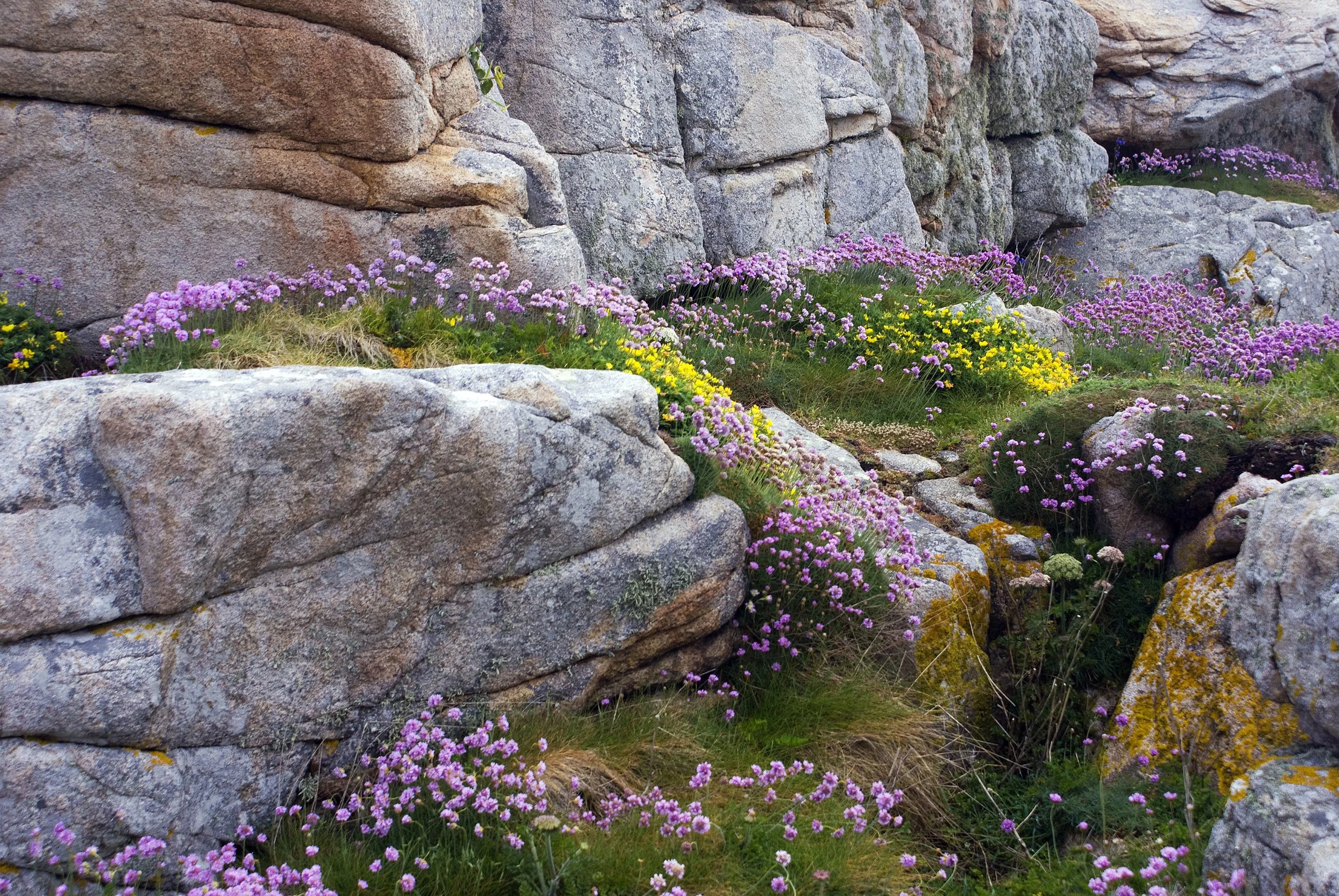 End Suffering on Disillusionment