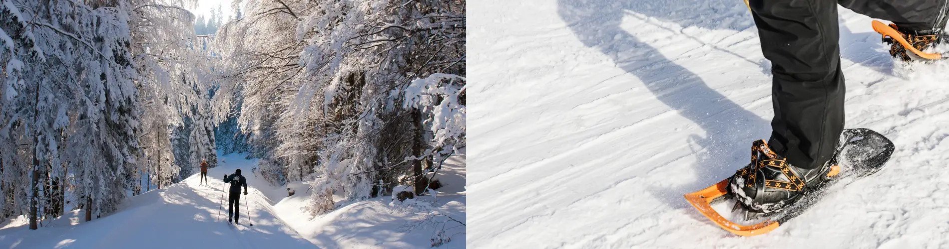 Snowshoeing/Skiing/Joring