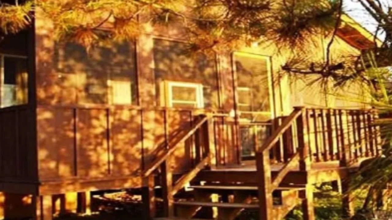 Cabin Essentials to Bring for Your Timber Trail Lodge Lakeside Stay in Ely