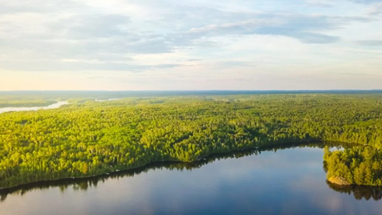 Farm Lake vs. Garden Lake: 7 Key Differences for Your Ely Trip