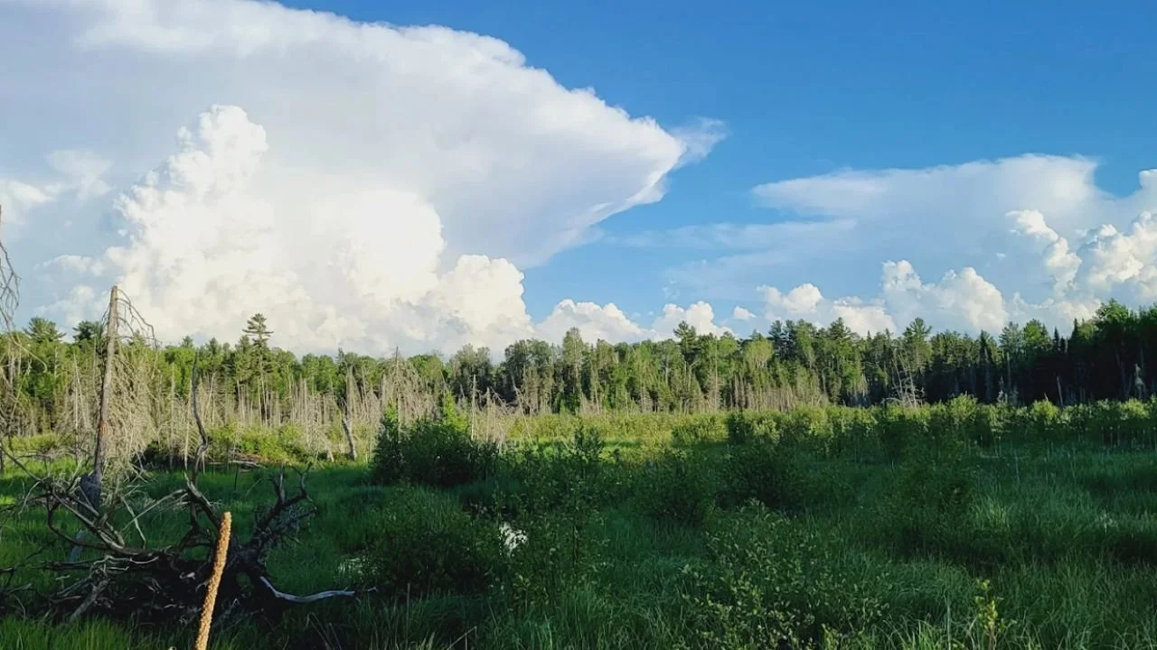 5 Wilderness Adventures in Ely You Can Do Without Camping