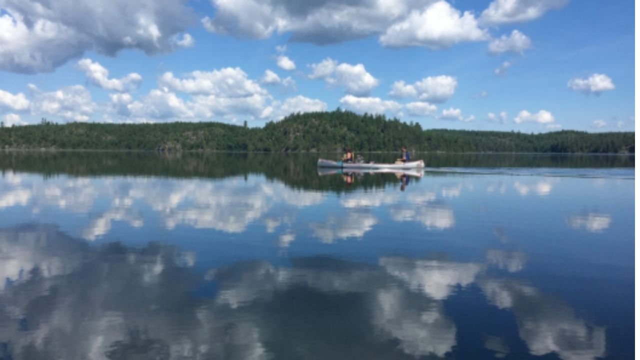 8 Fun Activities in MN You’ll Love Near Ely (Easy Guide)
