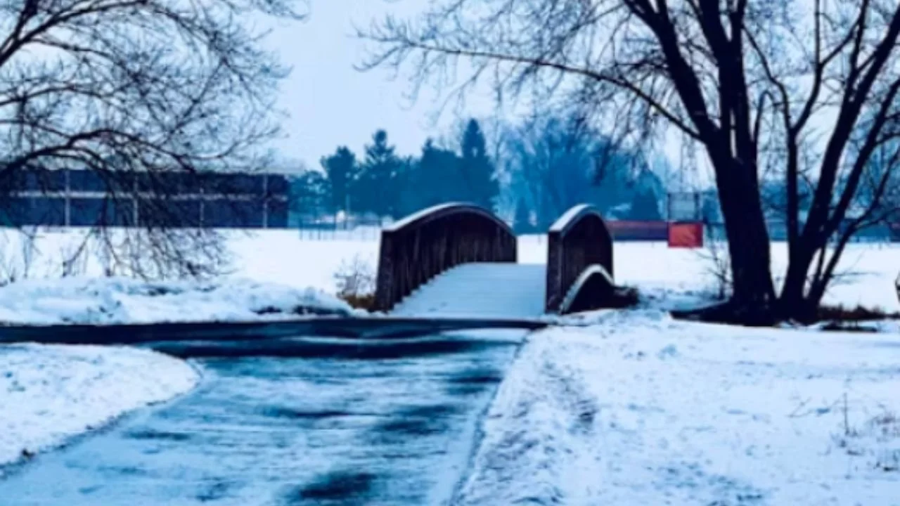 Best Snowmobile Trails in Minnesota Near Ely and Where to Stay