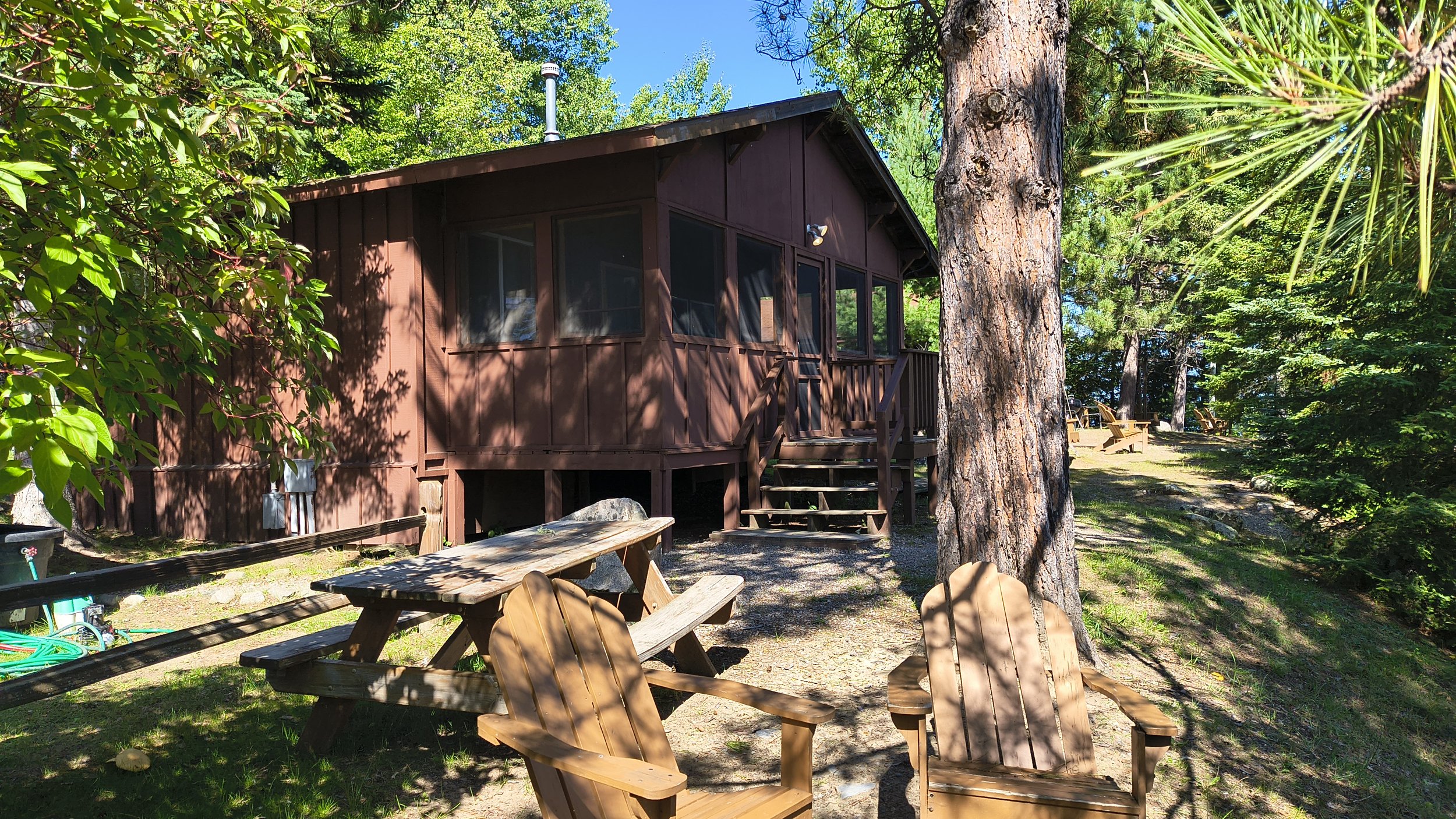 Birch Cabin