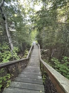 image18.jpeg