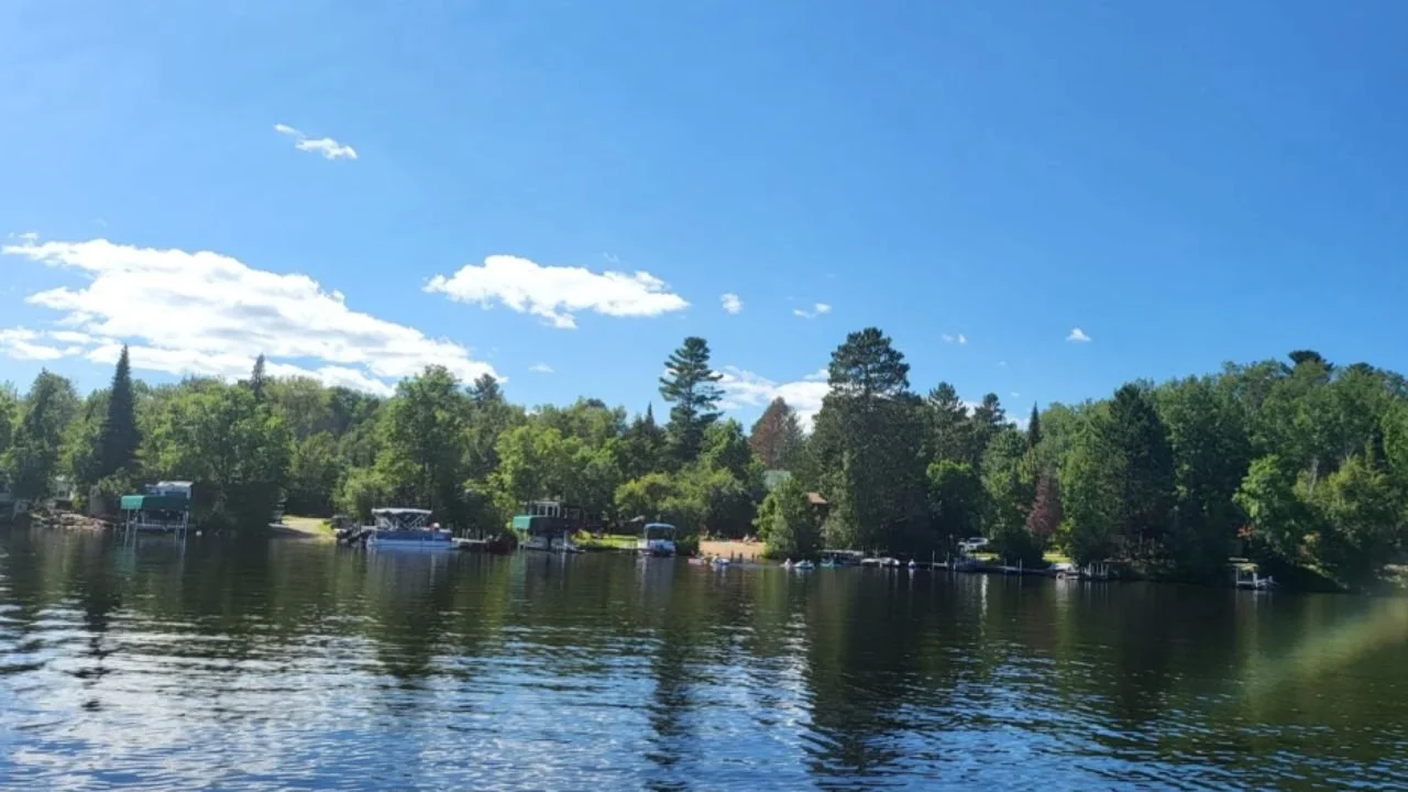 Calm lake with tree-lined shore under a bright blue sky.