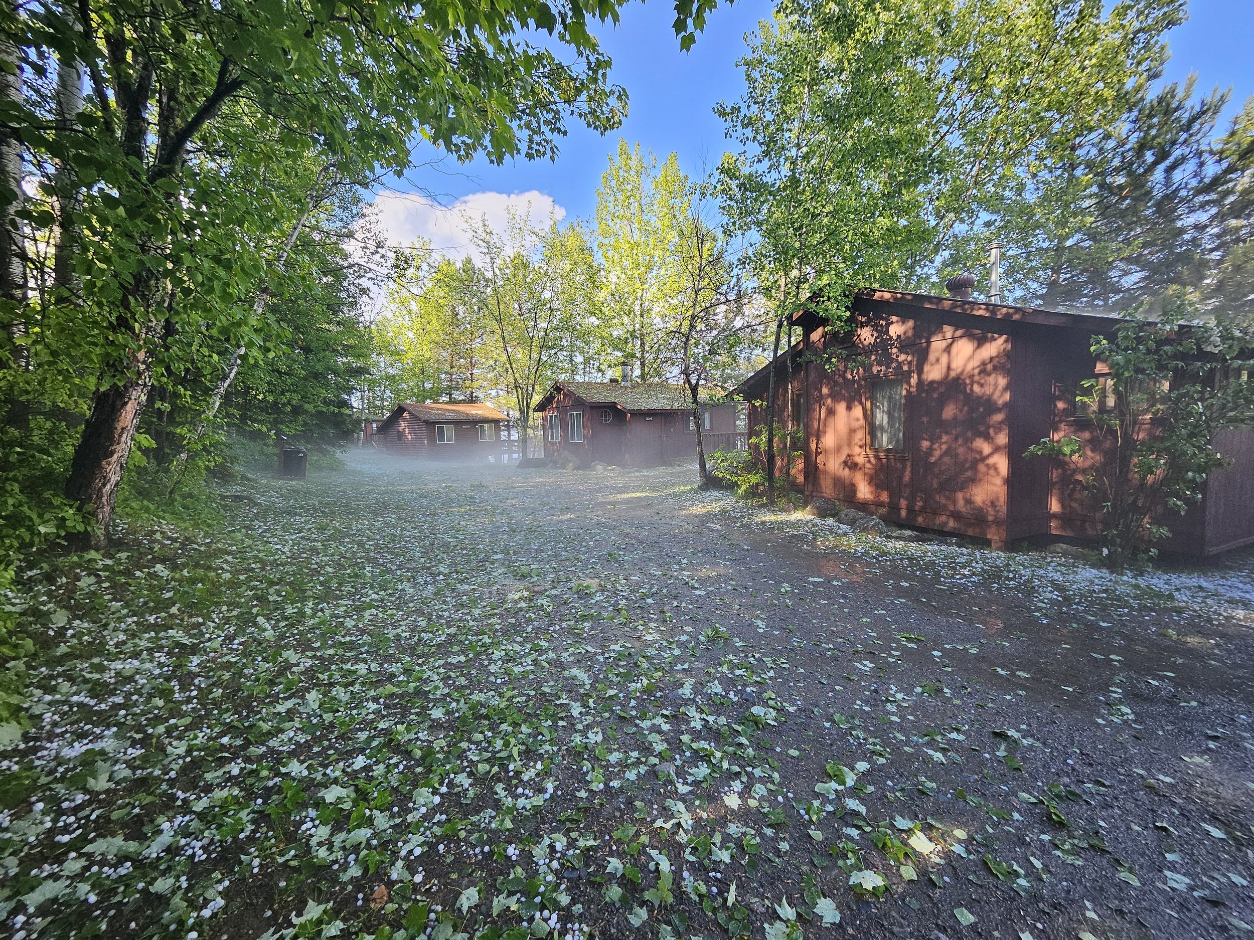 Rustic wooden cabins surrounded by trees and ground covered in leaves. A misty atmosphere creates a serene, natural setting.