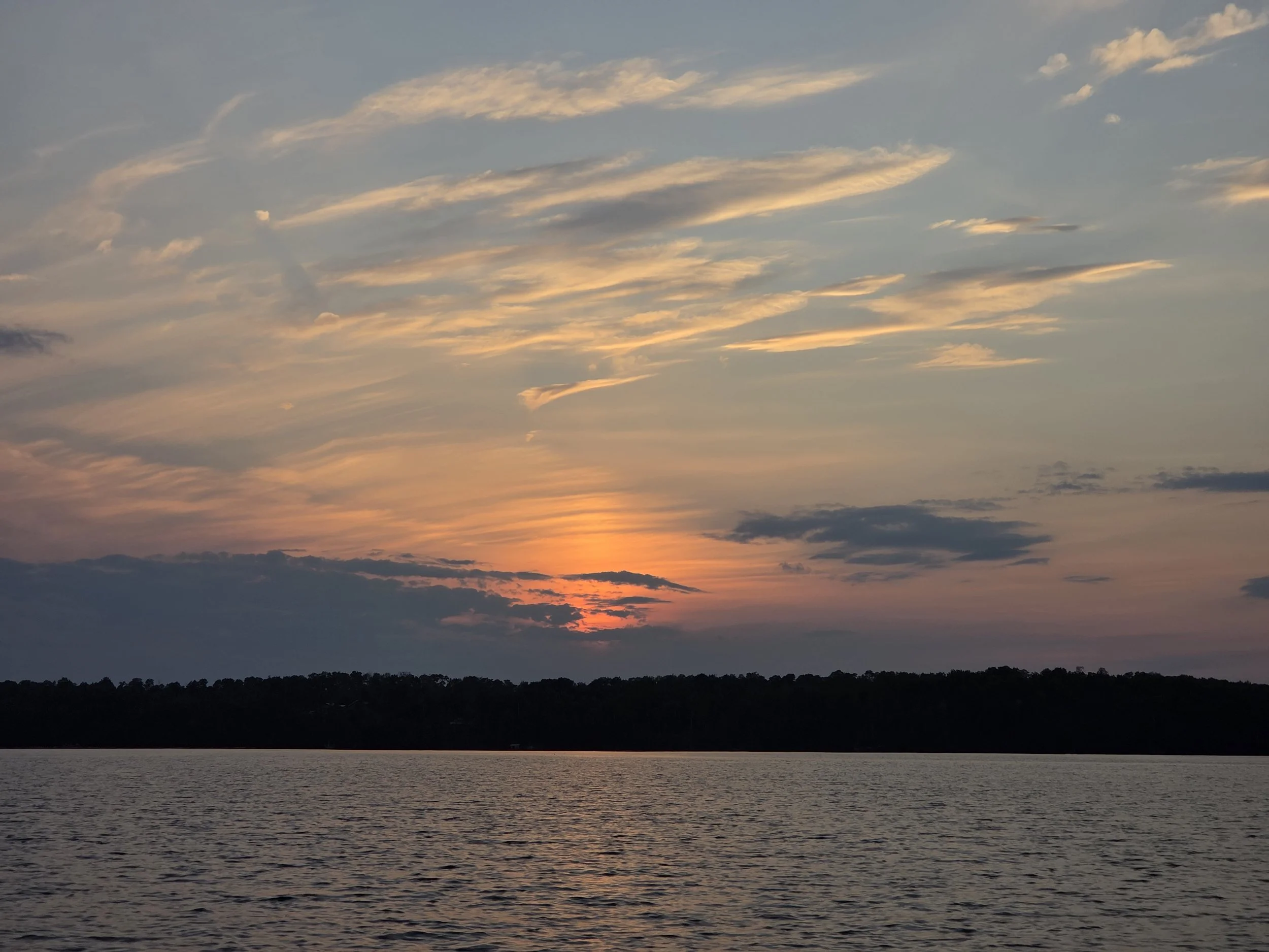 20260812_200748.jpg