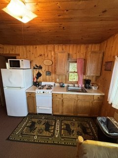 image7 (5).jpeg