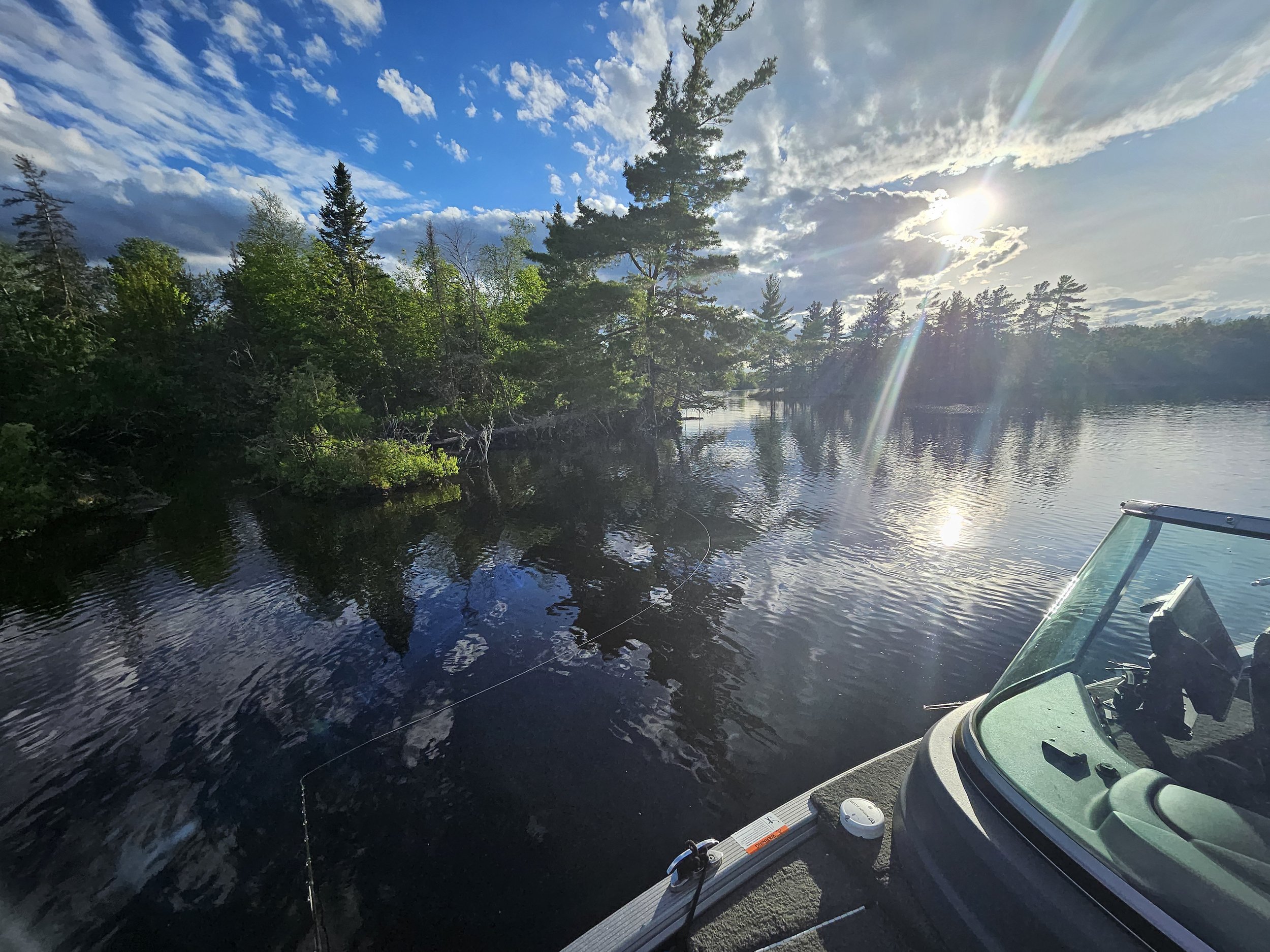 Sunny lake scene with boat and trees