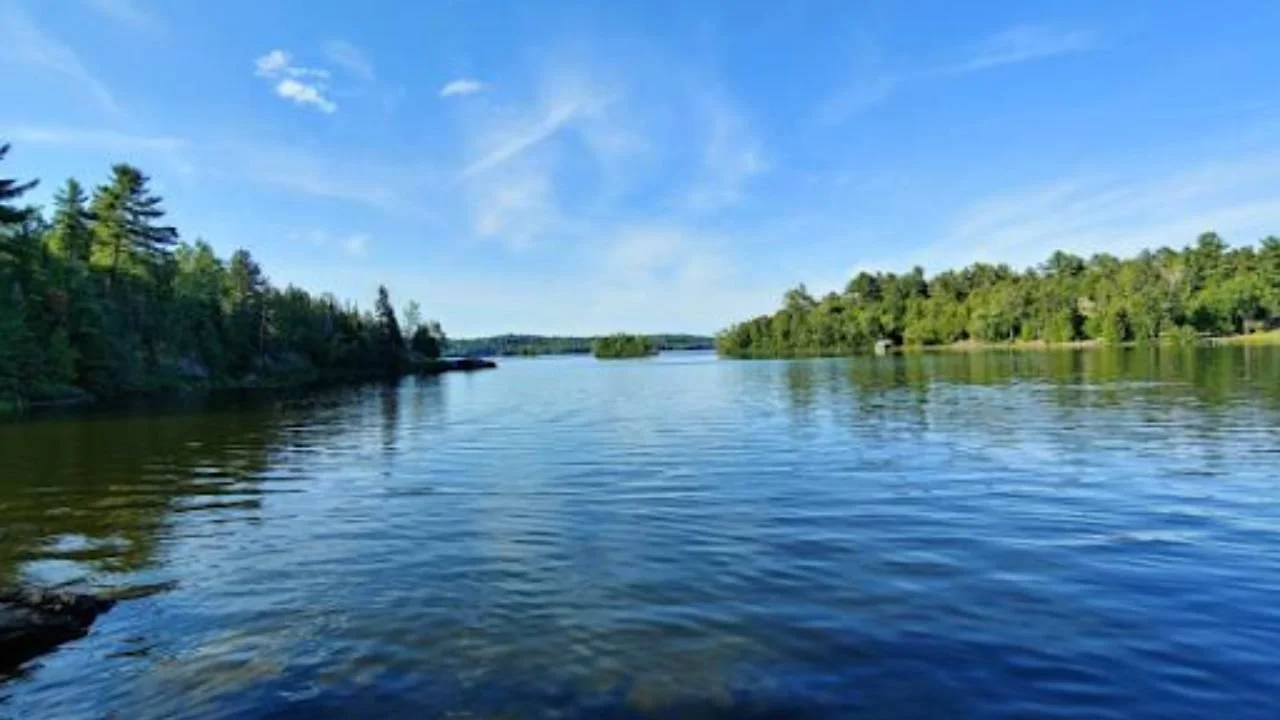 An image of Shagwa Lake in Minnesota