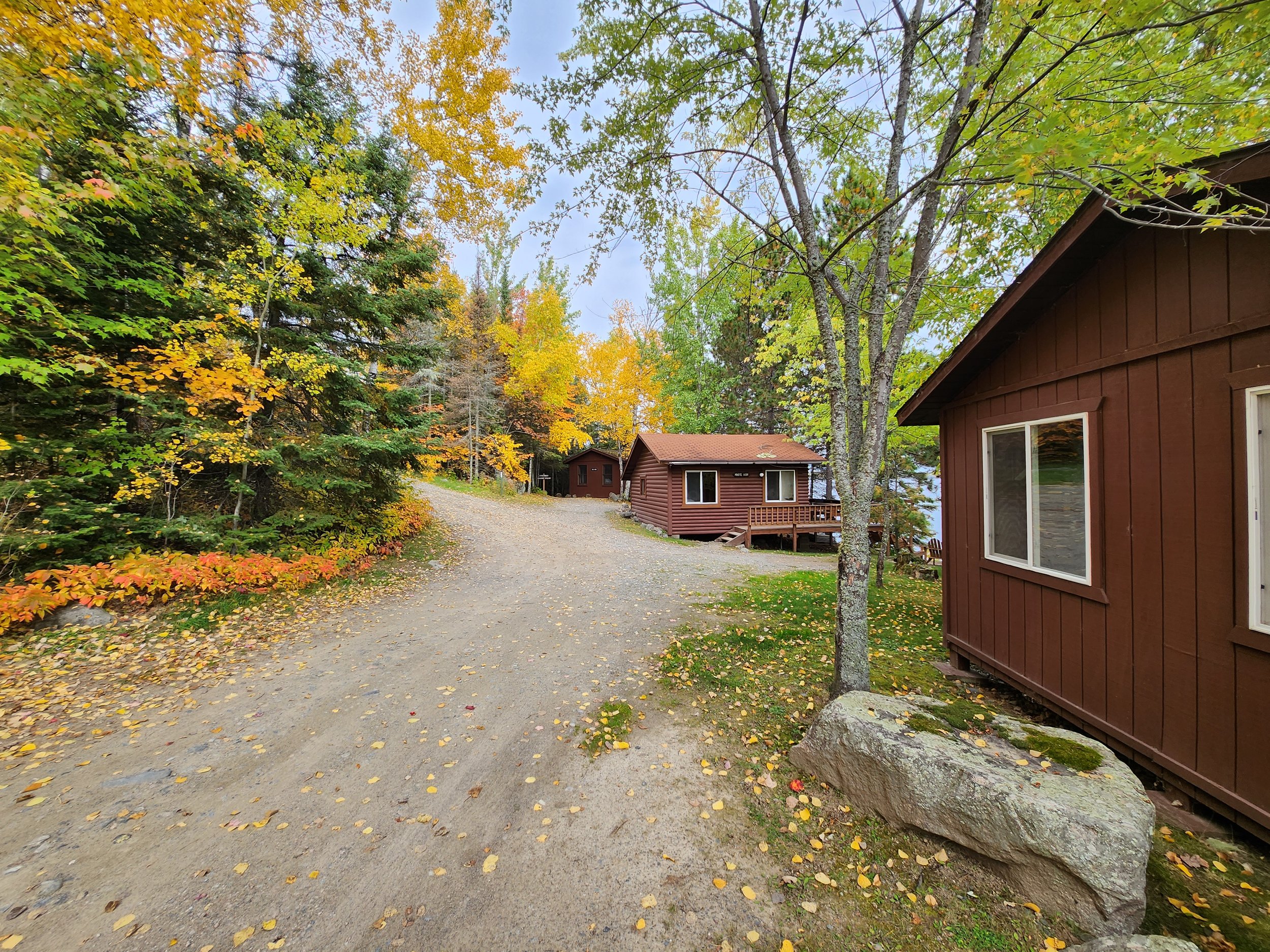 Autumn scene with two brown wooden cabins surrounded by colorful fall foliage and a dirt path in a wooded area.