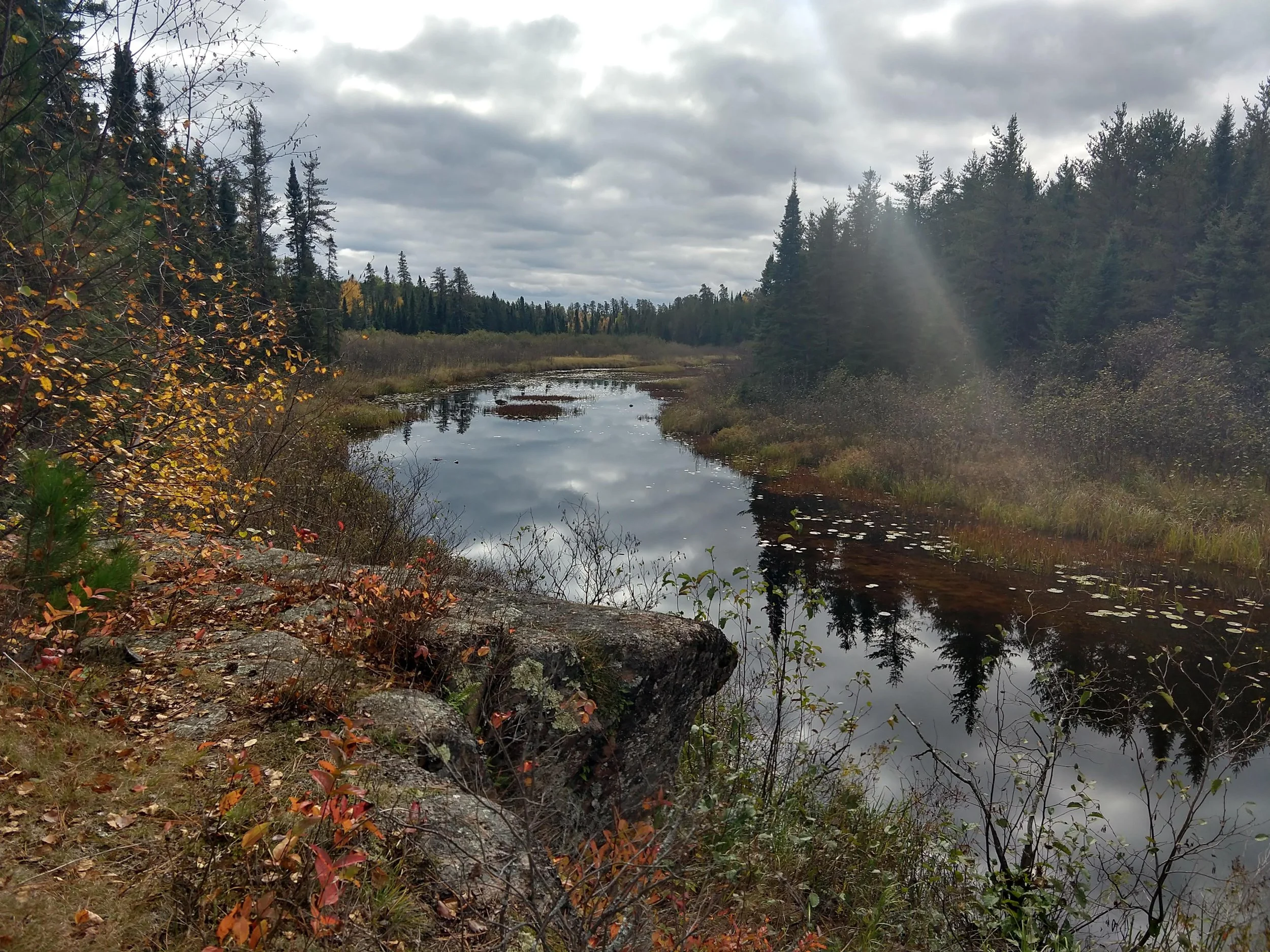 IMG_20201003_134006296_HDR.jpg