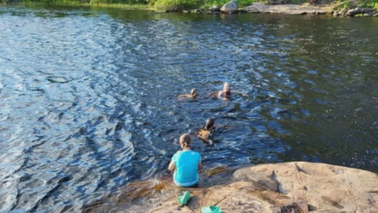 Flowering trees and greenery near Timber Trail Lodge, reflecting peaceful wilderness and nearby fishing opportunities