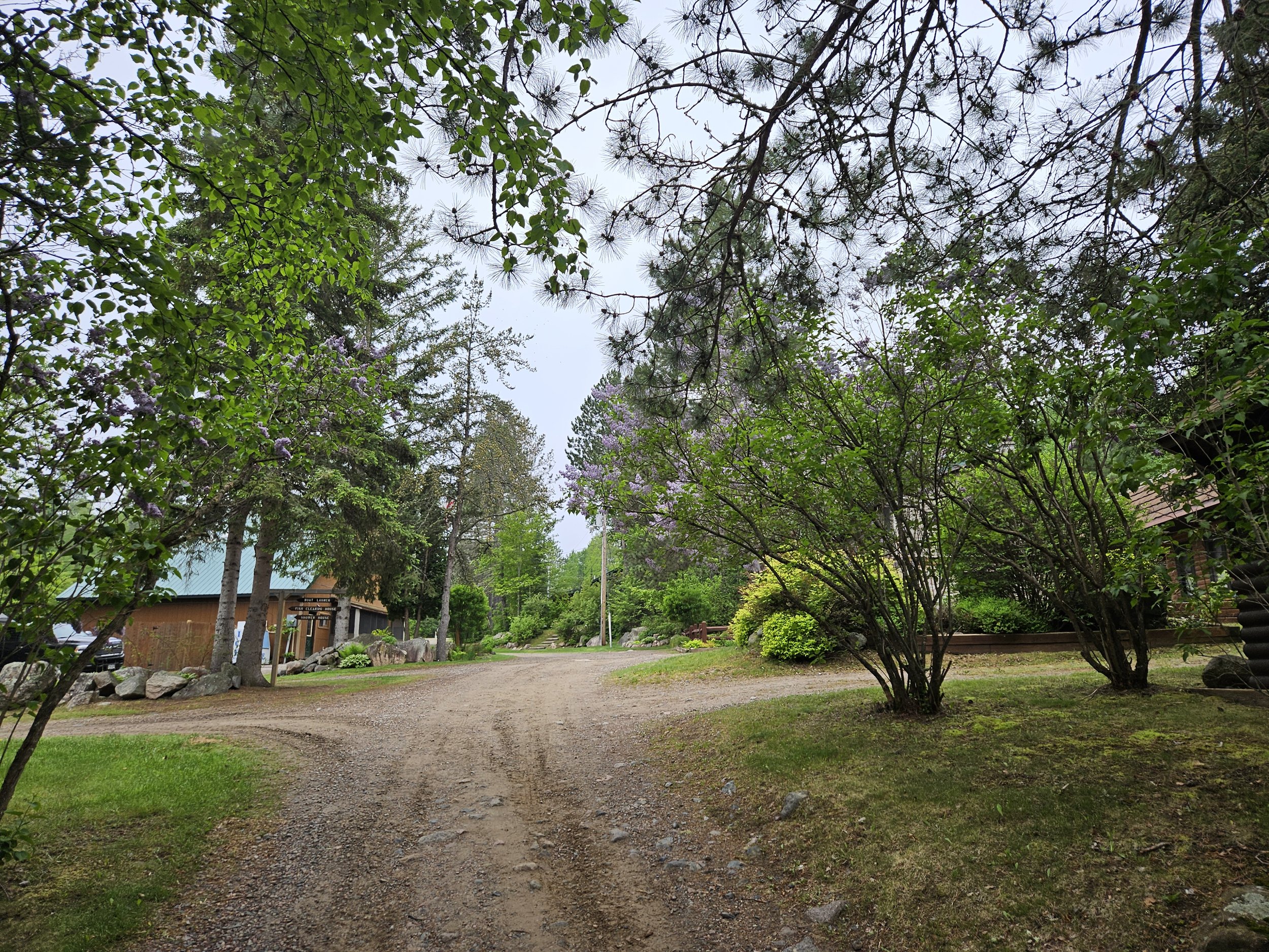 Dirt path surrounded by green trees, shrubs, and a log cabin