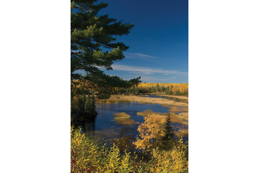 An image of the Boundary Waters Canoe Area Wilderness.