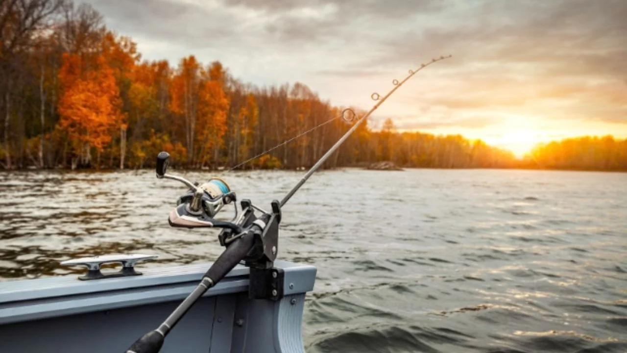Fishing rod on a boat during sunset on a forest lake.